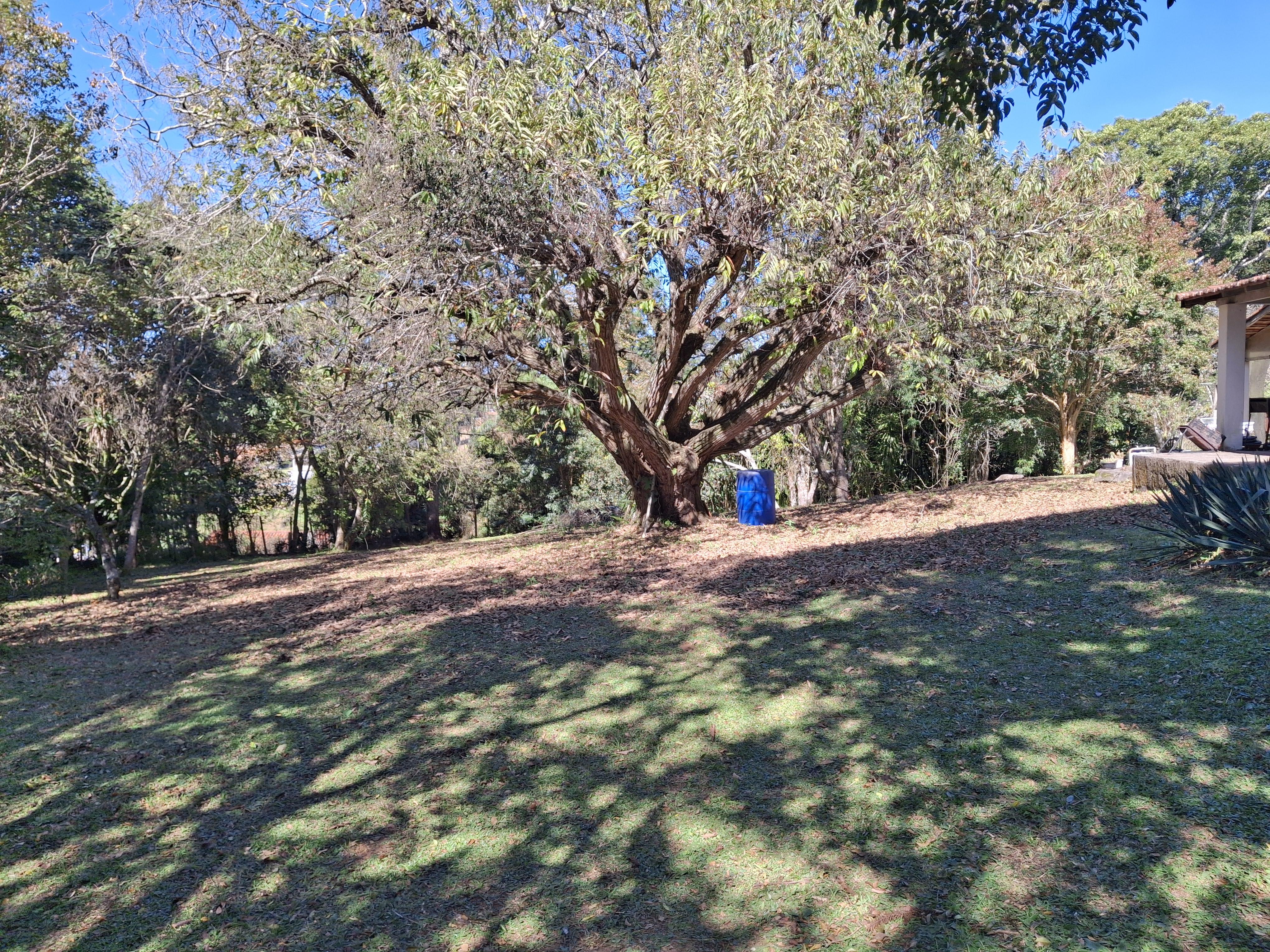 Sítio em Pavão (Canguera), SÃO ROQUE - Foto 13