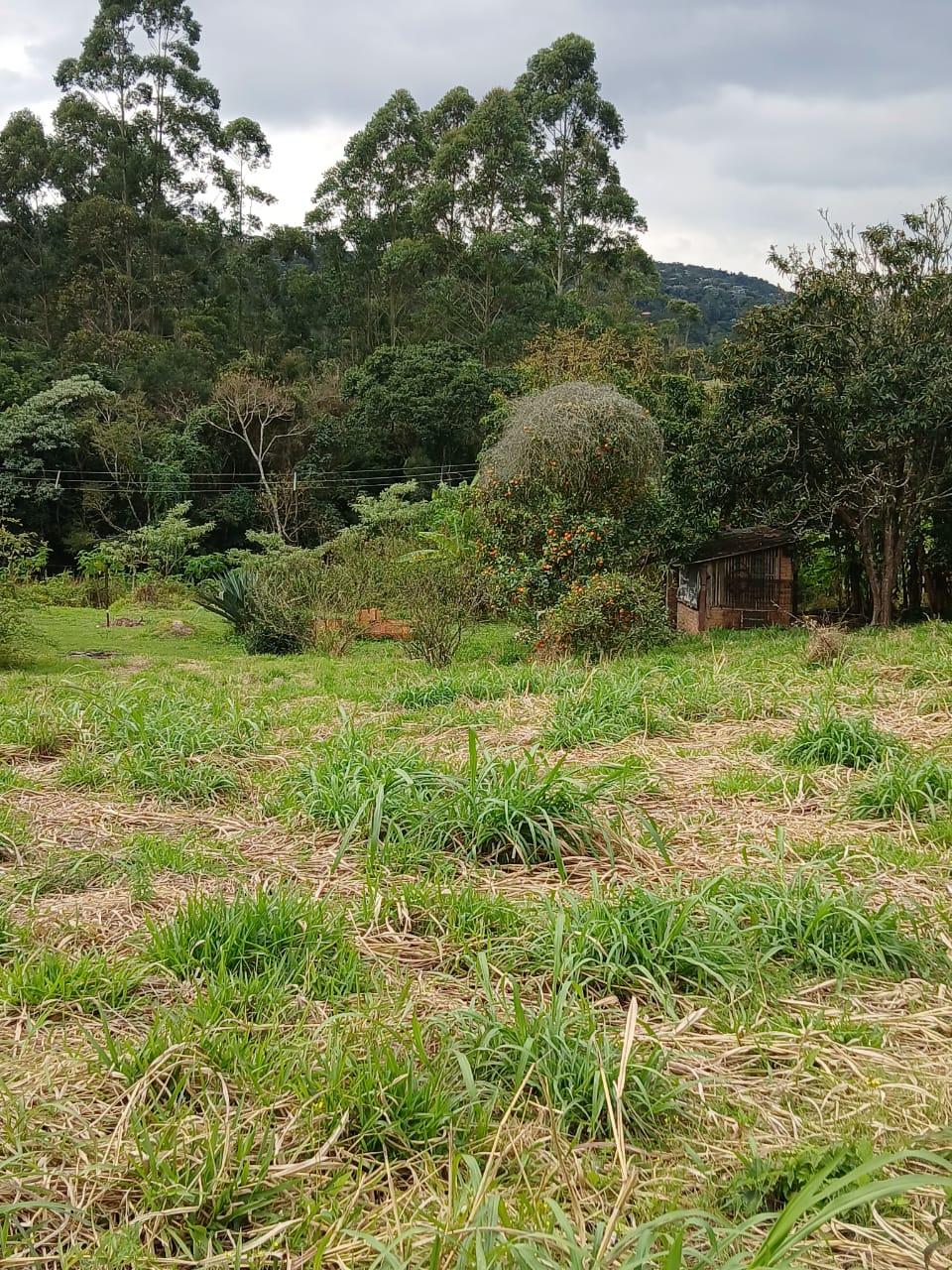 Terreno em Sorocamirim (Canguera), SÃO ROQUE - Terreno Pronto para Construir  Bairro Sorocamirim em São Roque! - Foto 13