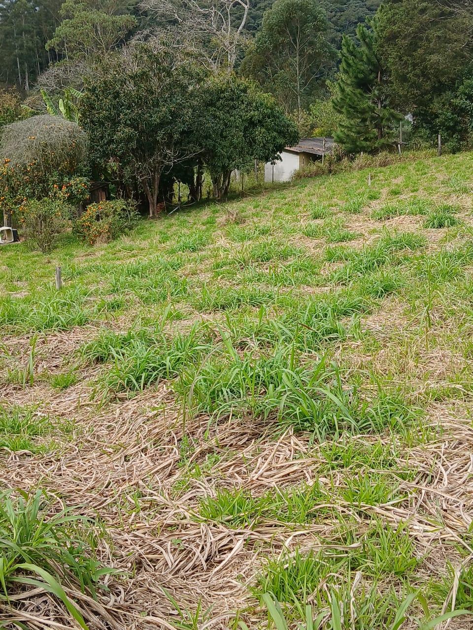 Terreno em Sorocamirim (Canguera), SÃO ROQUE - Terreno Pronto para Construir  Bairro Sorocamirim em São Roque! - Foto 5