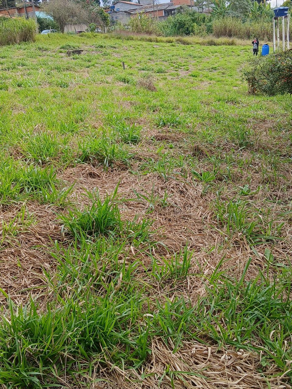 Terreno em Sorocamirim (Canguera), SÃO ROQUE - Terreno Pronto para Construir  Bairro Sorocamirim em São Roque! - Foto 15