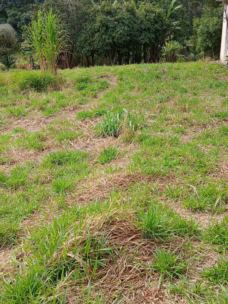 Terreno em Sorocamirim (Canguera), SÃO ROQUE - Terreno Pronto para Construir  Bairro Sorocamirim em São Roque! - Foto 7