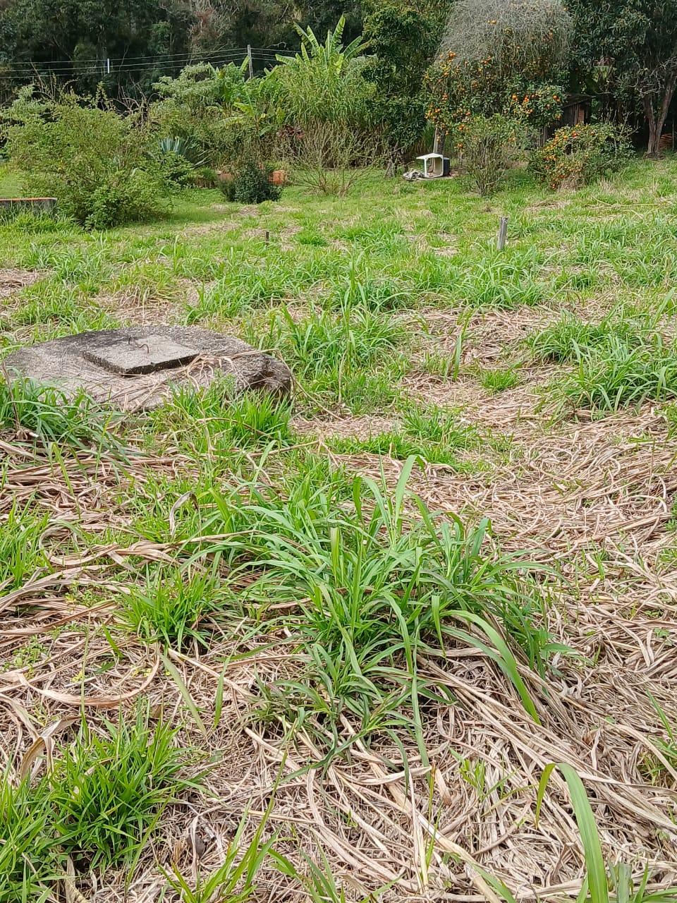 Terreno em Sorocamirim (Canguera), SÃO ROQUE - Terreno Pronto para Construir  Bairro Sorocamirim em São Roque! - Foto 17