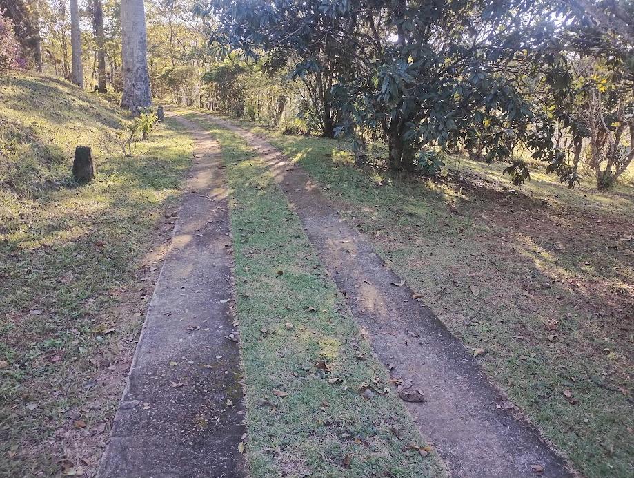 Sítio em Roteiro do Vinho, SÃO ROQUE - Foto 5