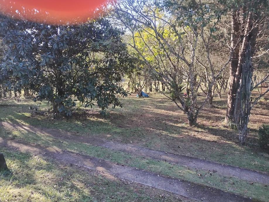 Sítio em Roteiro do Vinho, SÃO ROQUE - Foto 21