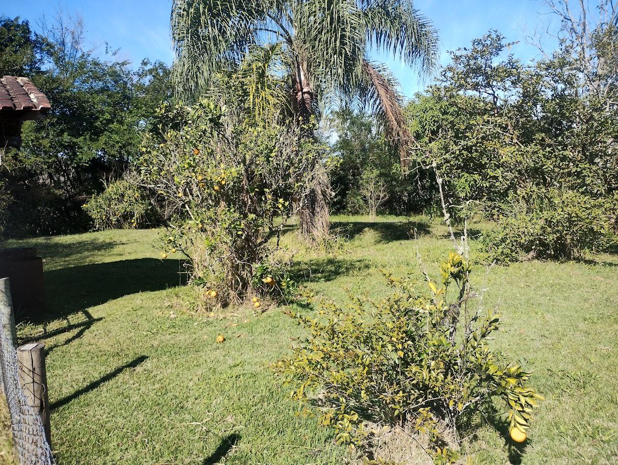 Sítio em Roteiro do Vinho, SÃO ROQUE - Foto 53