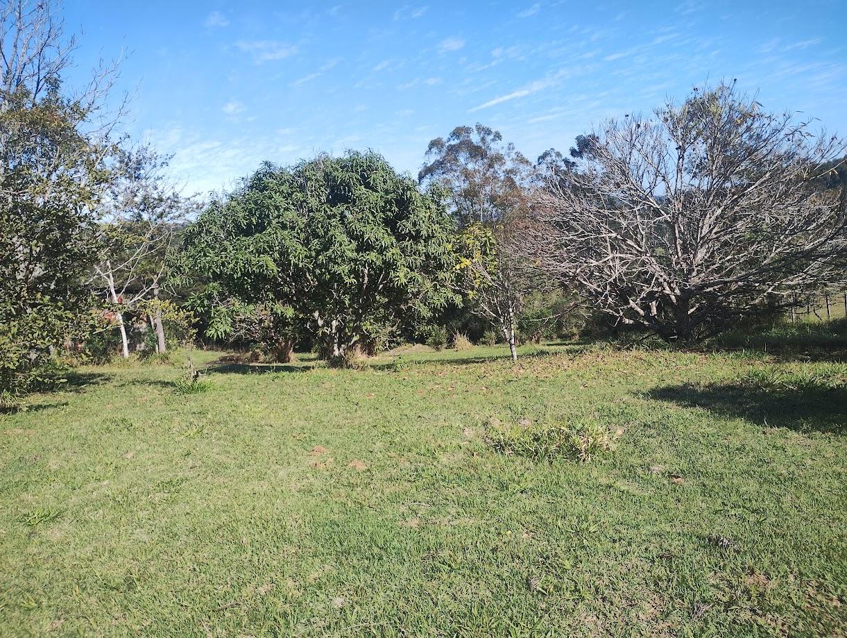 Sítio em Roteiro do Vinho, SÃO ROQUE - Foto 55