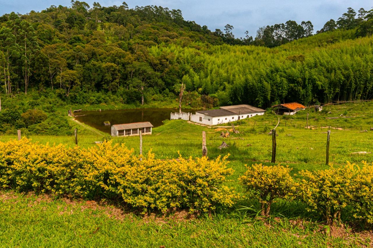 Sítio em Sorocamirim (Canguera), SÃO ROQUE - Foto 36