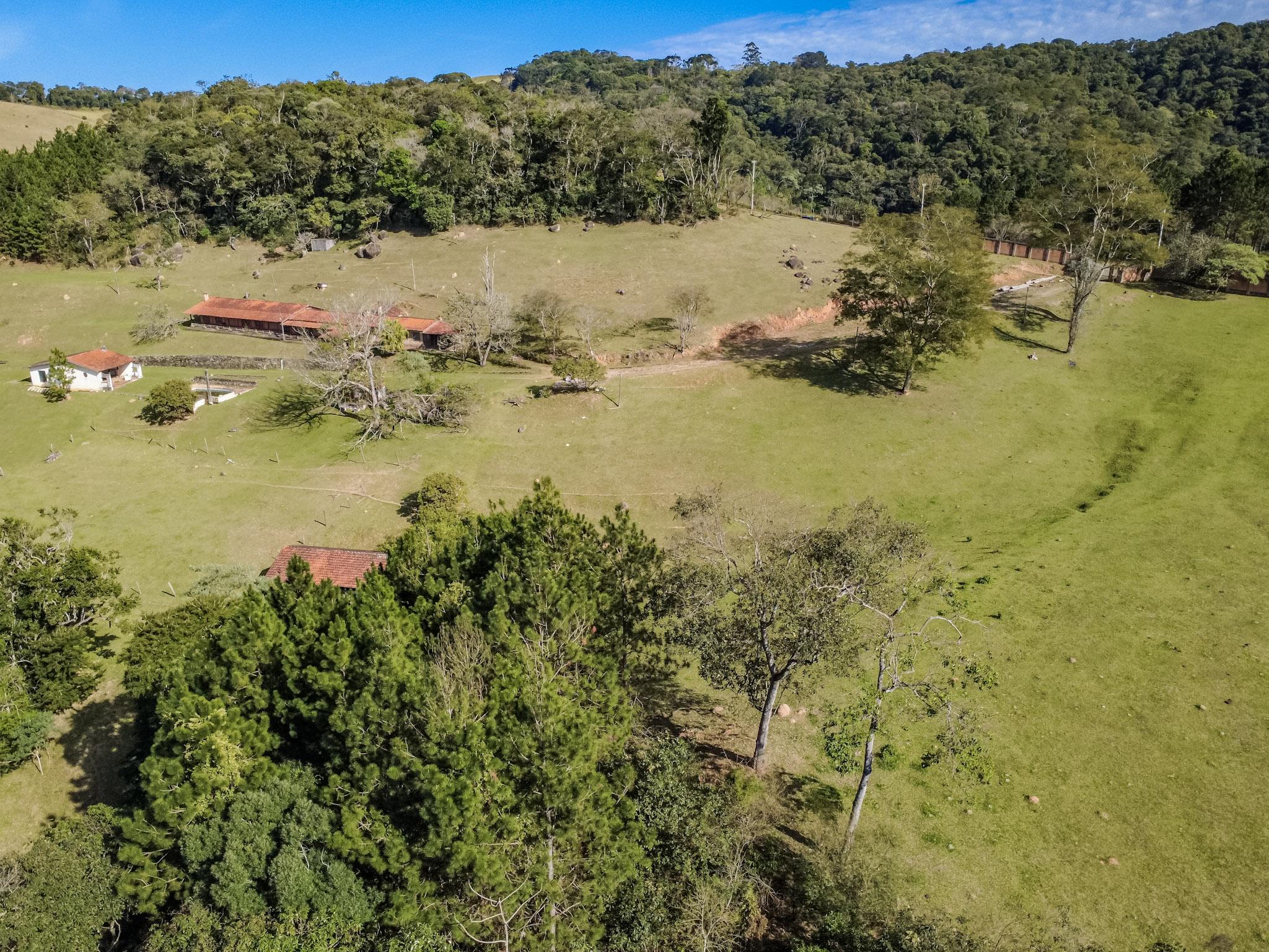 Sítio em Vila Darcy Penteado (Mailasqui), SÃO ROQUE - Foto 21