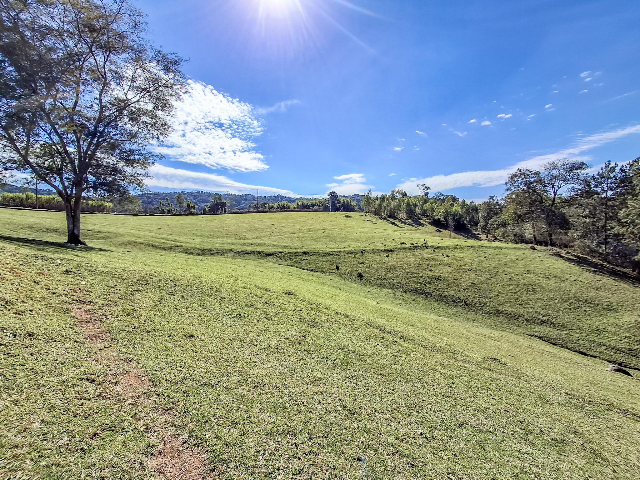Sítio em Vila Darcy Penteado (Mailasqui), SÃO ROQUE - Foto 59