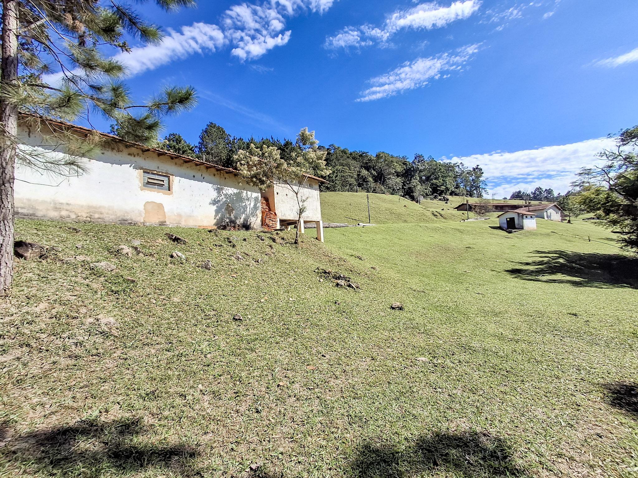 Sítio em Vila Darcy Penteado (Mailasqui), SÃO ROQUE - Foto 67