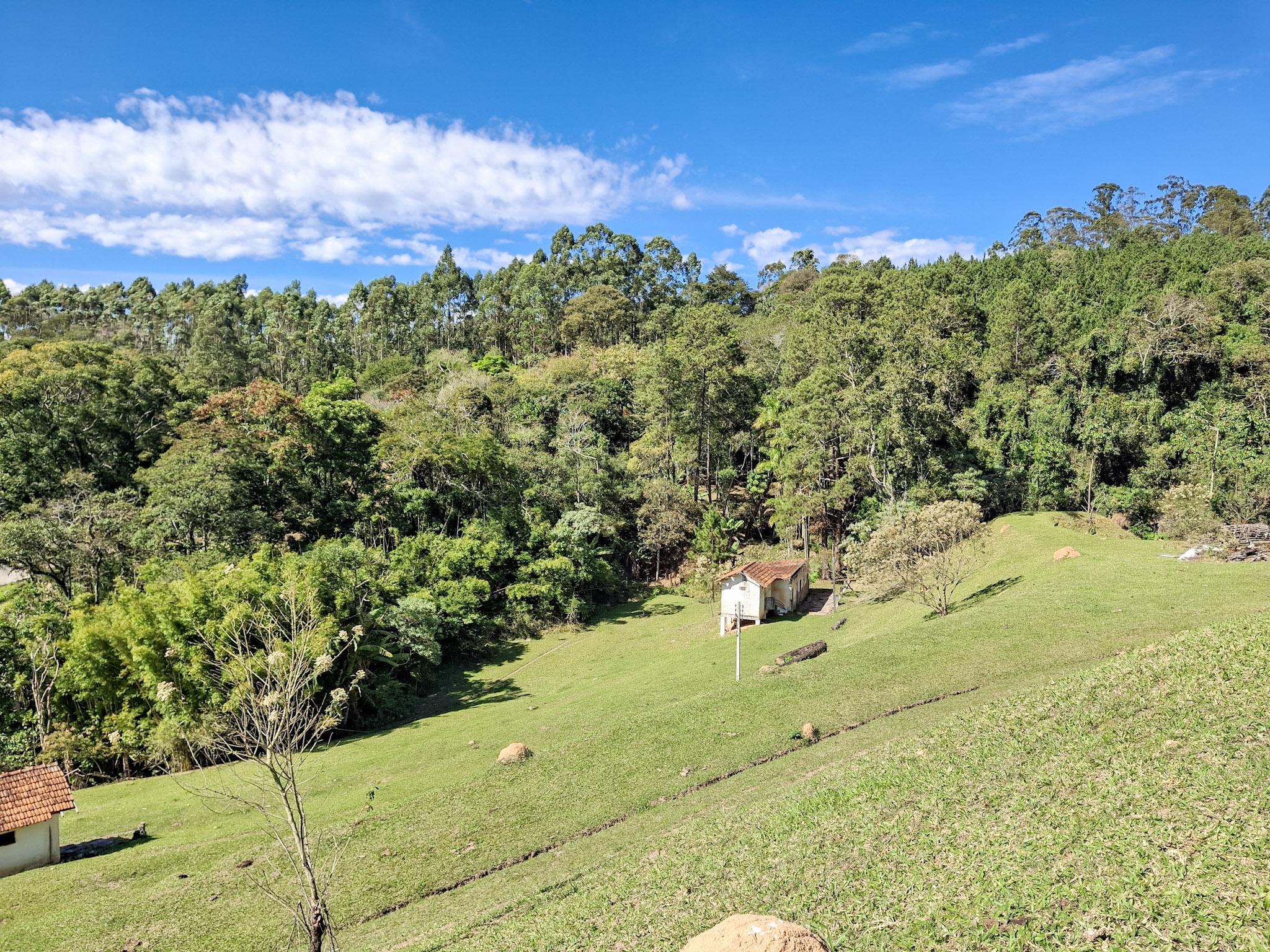 Sítio em Vila Darcy Penteado (Mailasqui), SÃO ROQUE - Foto 93