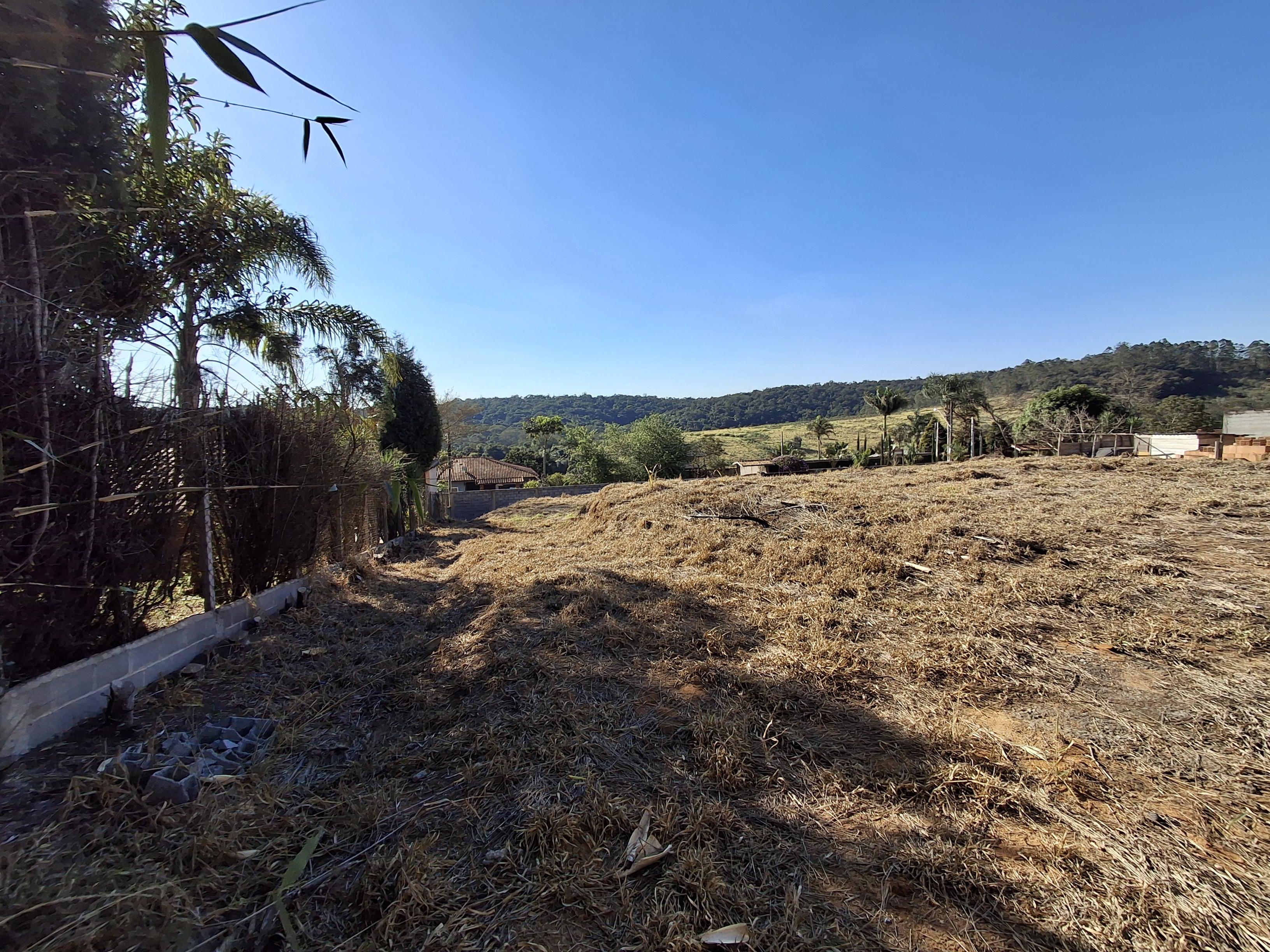 Terreno em Pavão (Canguera), SÃO ROQUE - Foto 4