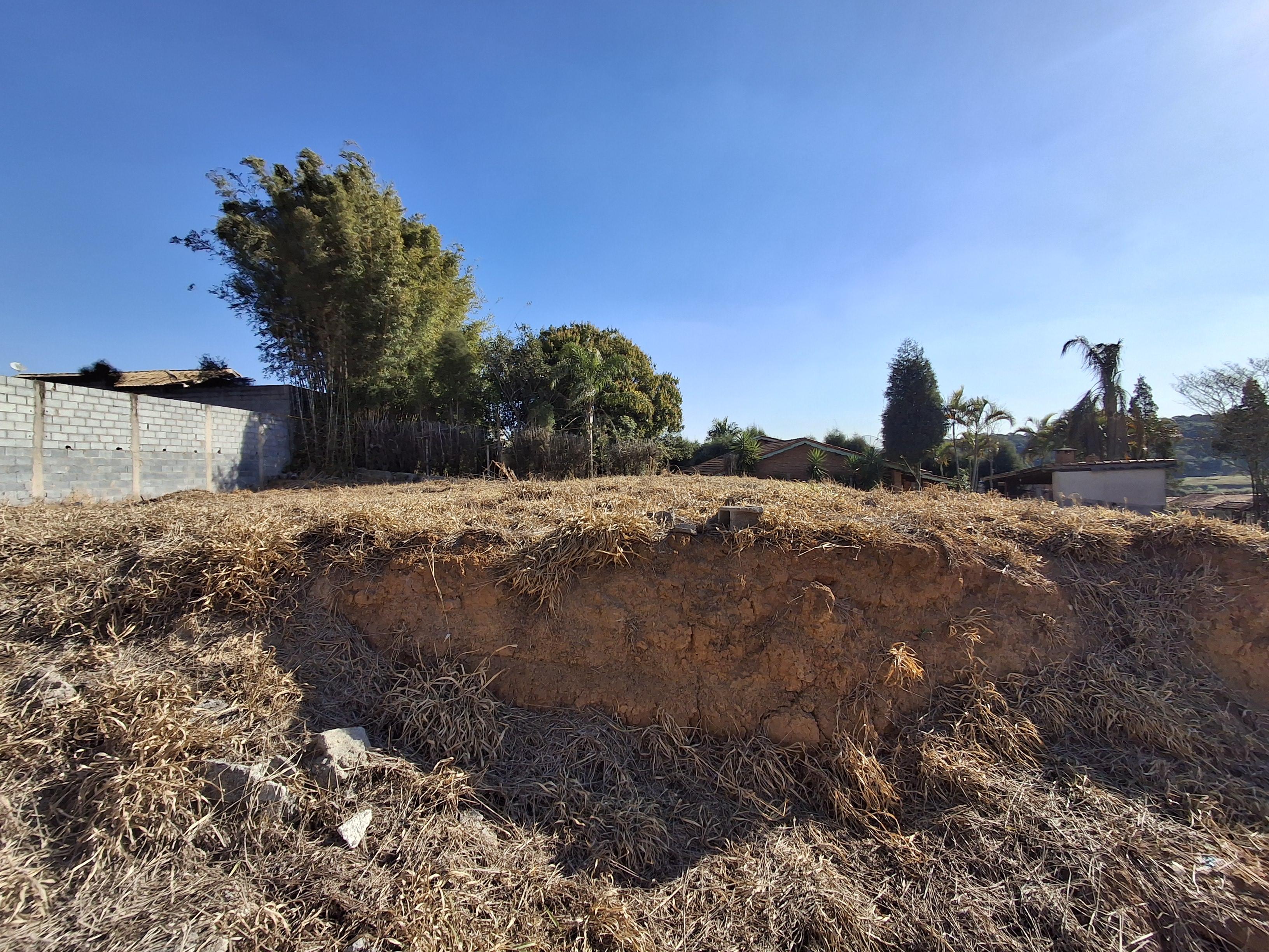 Terreno em Pavão (Canguera), SÃO ROQUE - Foto 8