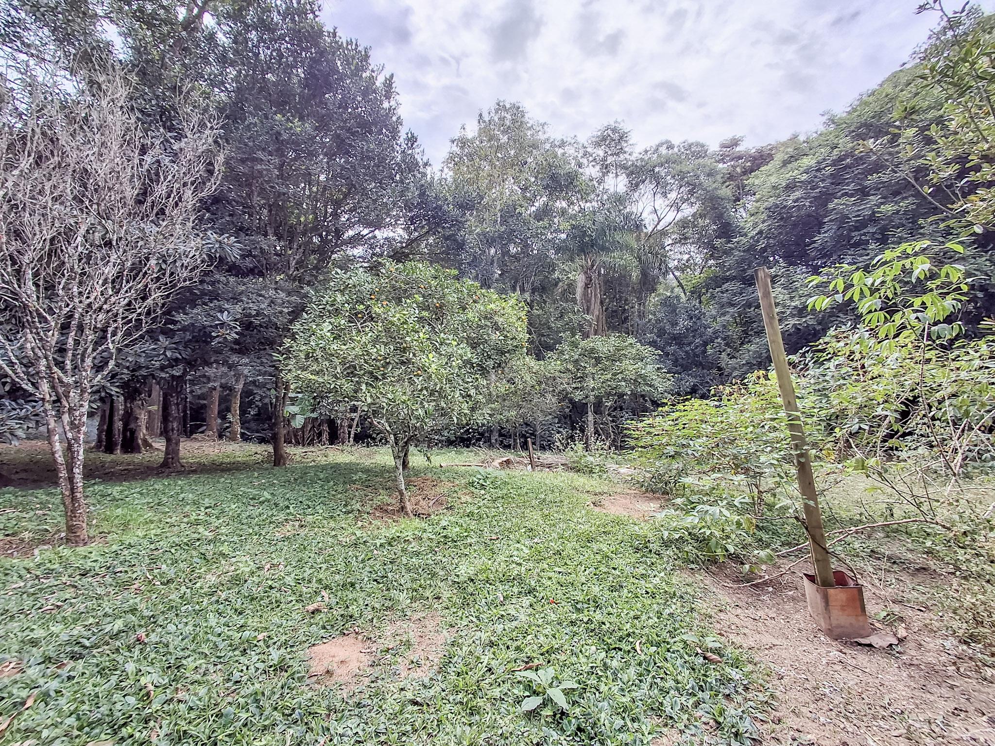 Sítio em Sorocamirim (Canguera), SÃO ROQUE - Foto 21