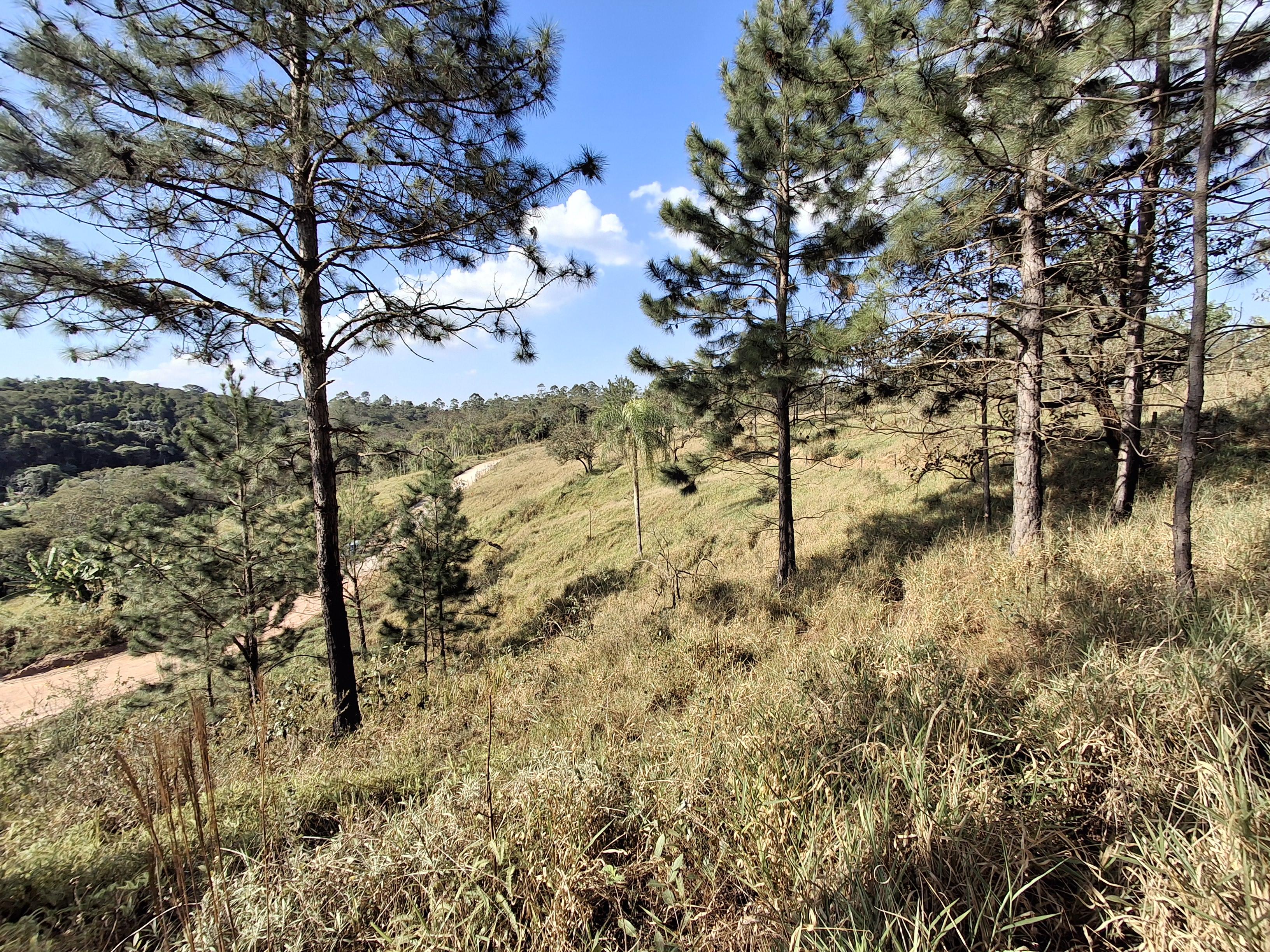 Terreno em Caete (Vila Lino), SÃO ROQUE - Terreno próximo da Raposo Tavares em São Roque! - Foto 12