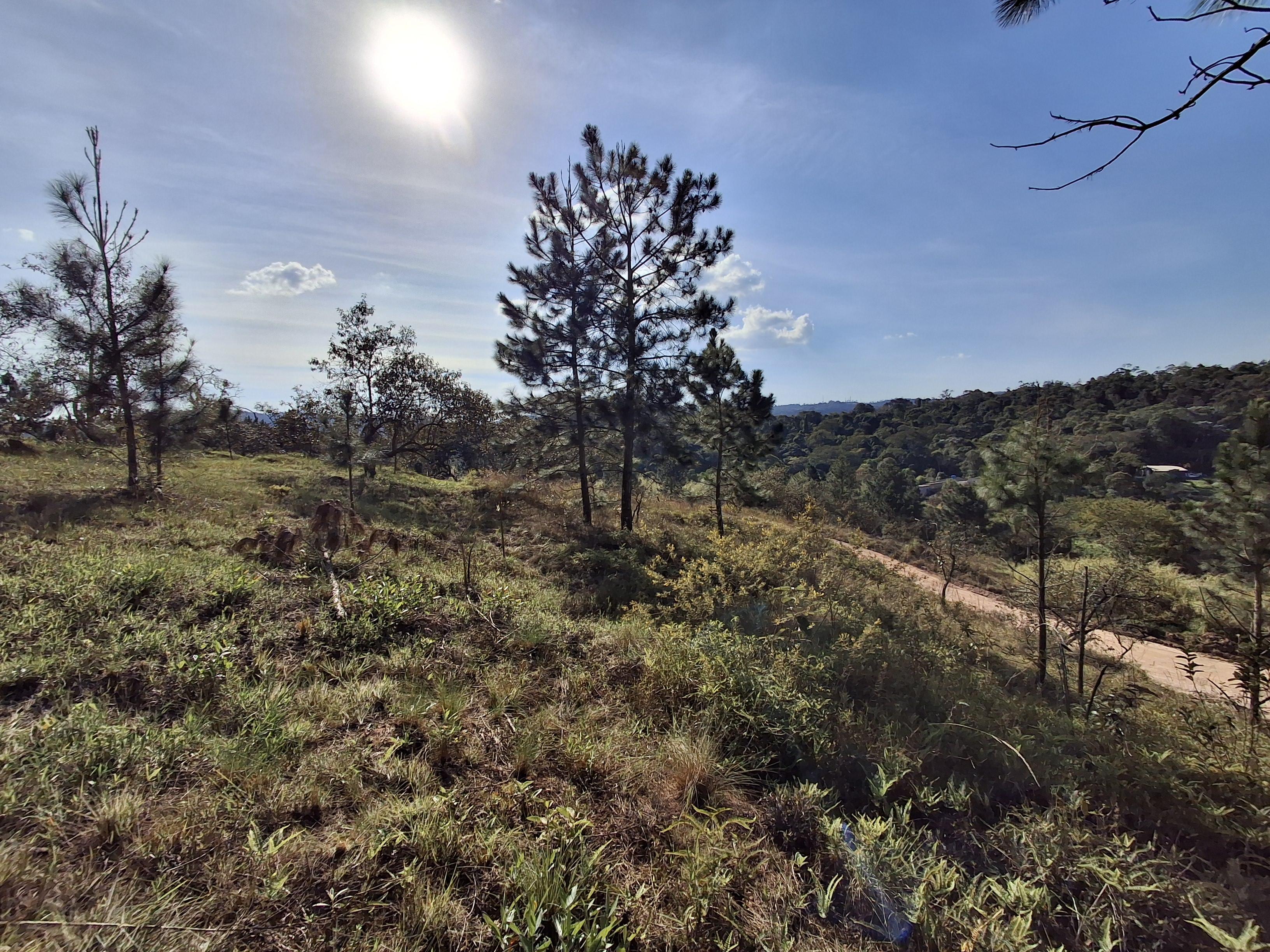 Terreno em Caete (Vila Lino), SÃO ROQUE - Terreno próximo da Raposo Tavares em São Roque! - Foto 13