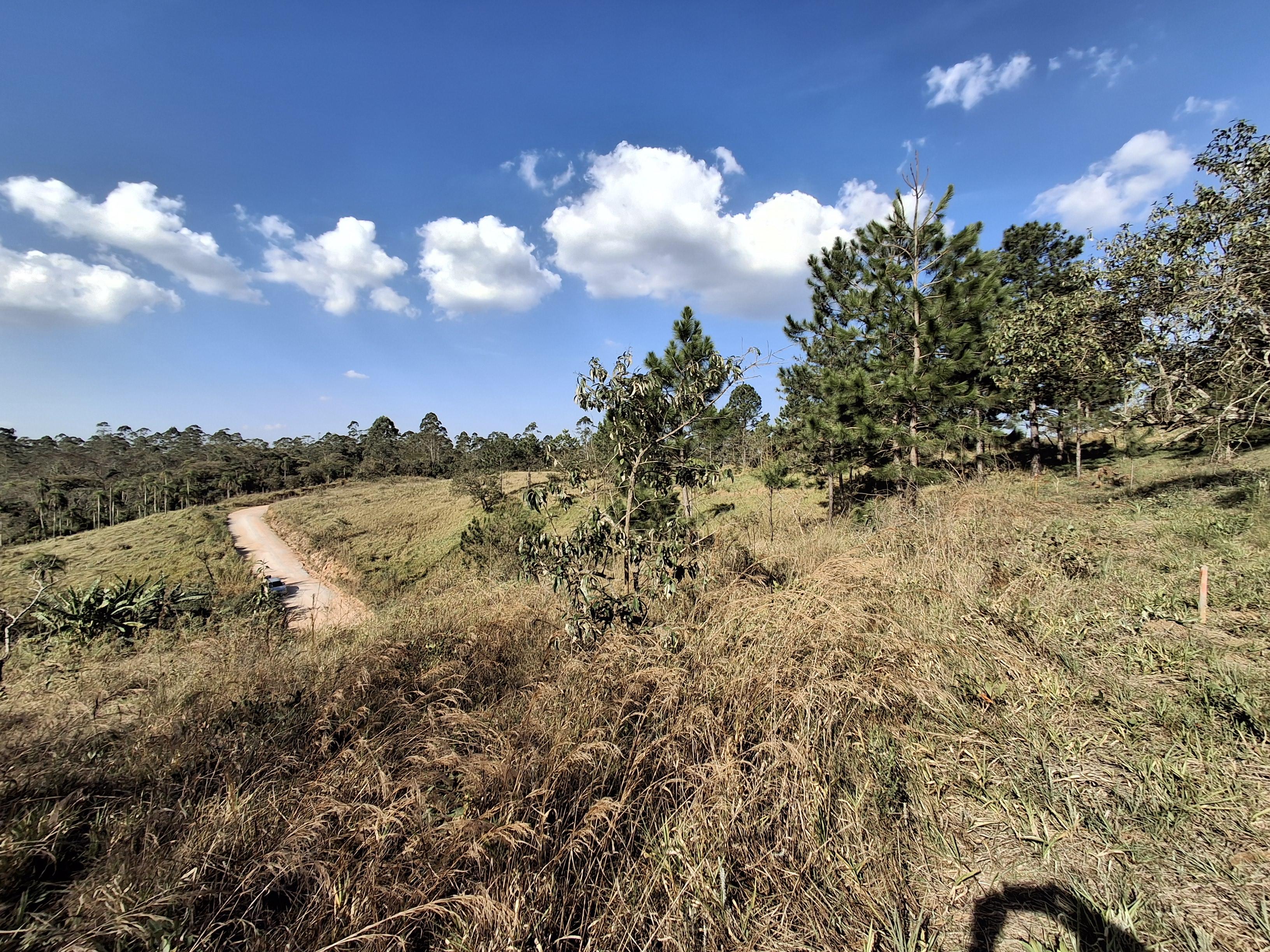 Terreno em Caete (Vila Lino), SÃO ROQUE - Terreno próximo da Raposo Tavares em São Roque! - Foto 17