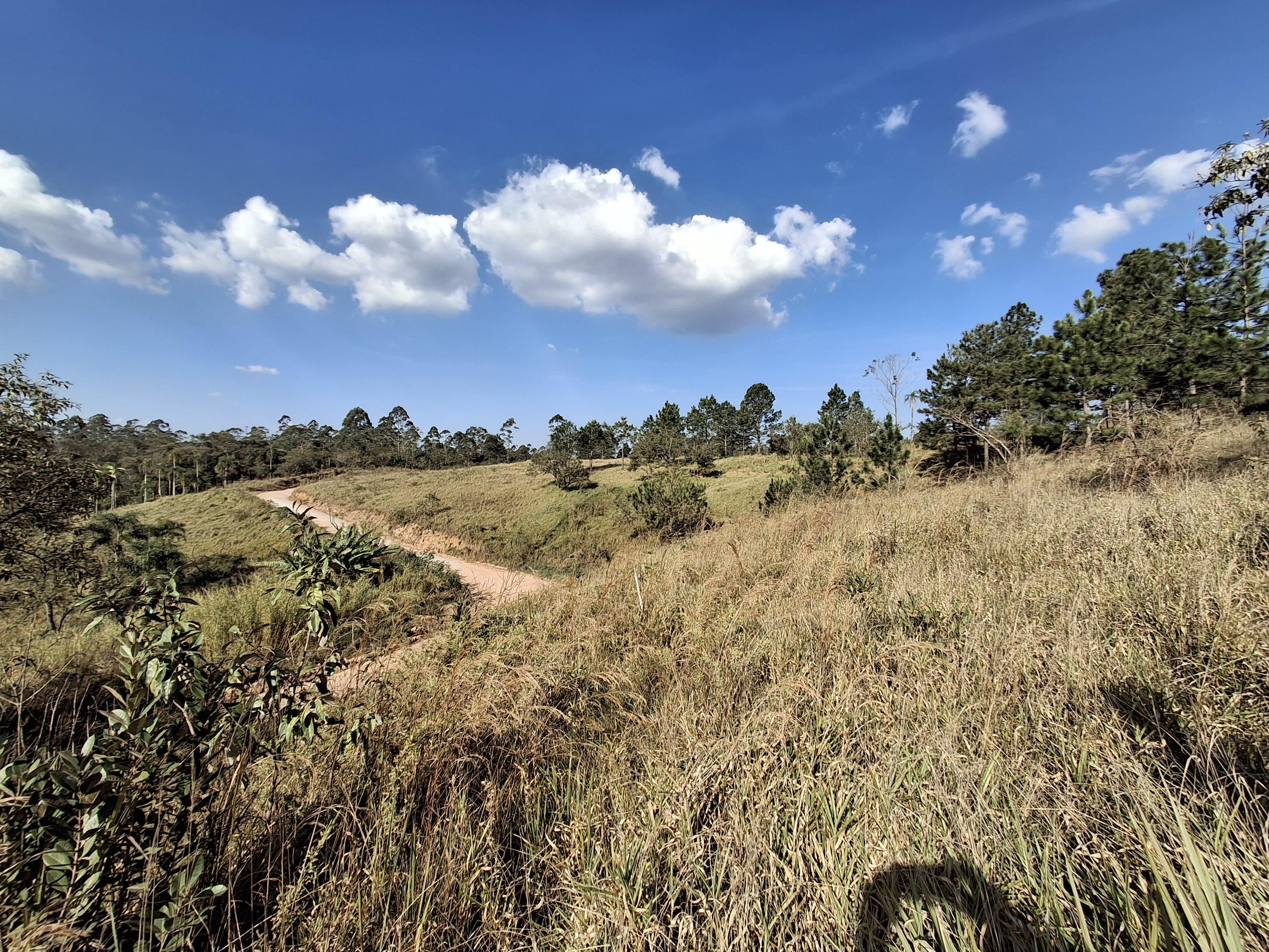Terreno em Caete (Vila Lino), SÃO ROQUE - Terreno próximo da Raposo Tavares em São Roque! - Foto 21