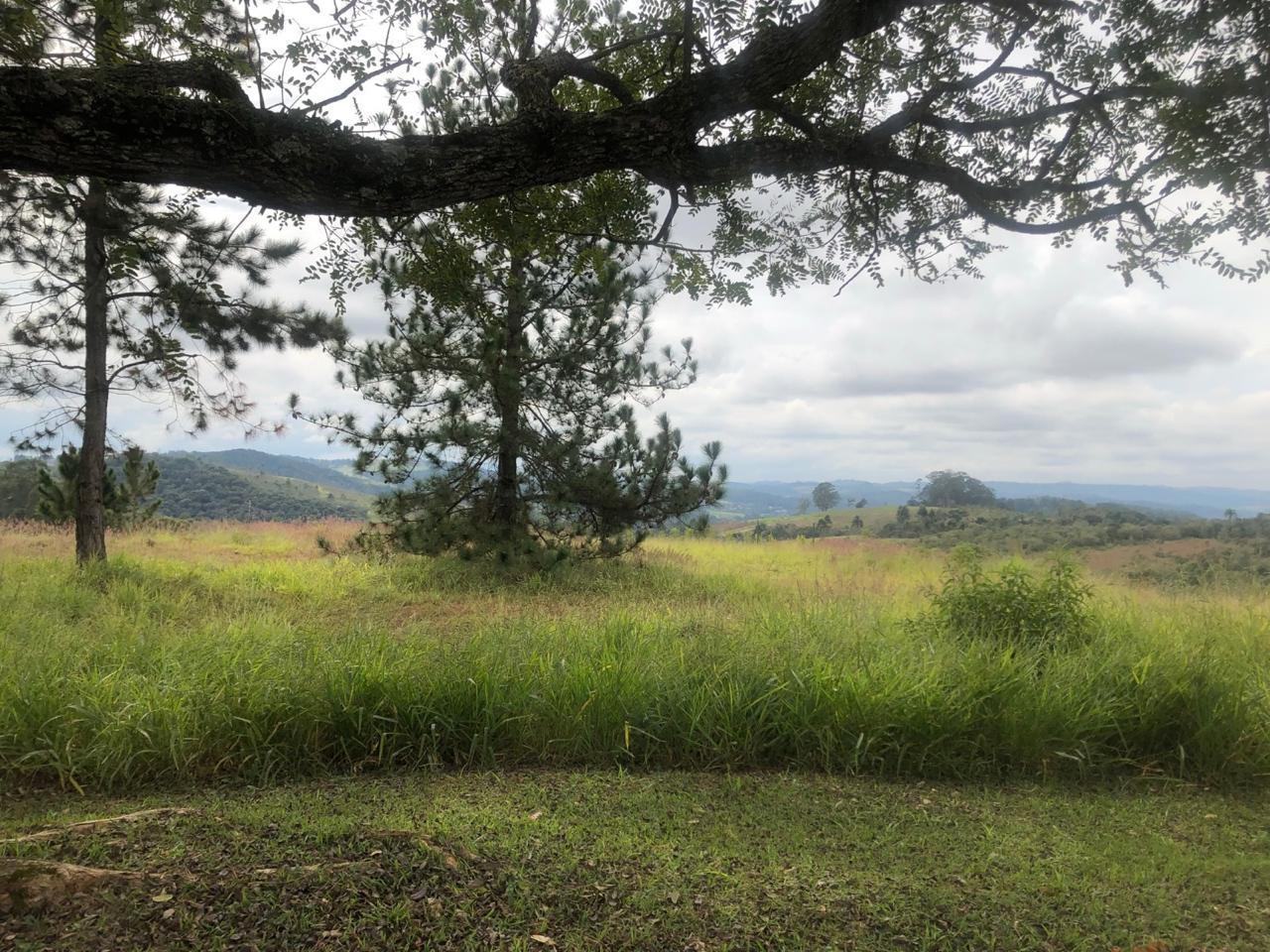 Terreno em Taipas De Pedras (Mailasqui), SÃO ROQUE - Terreno no Condomínio Altos de São Roque! - Foto 5