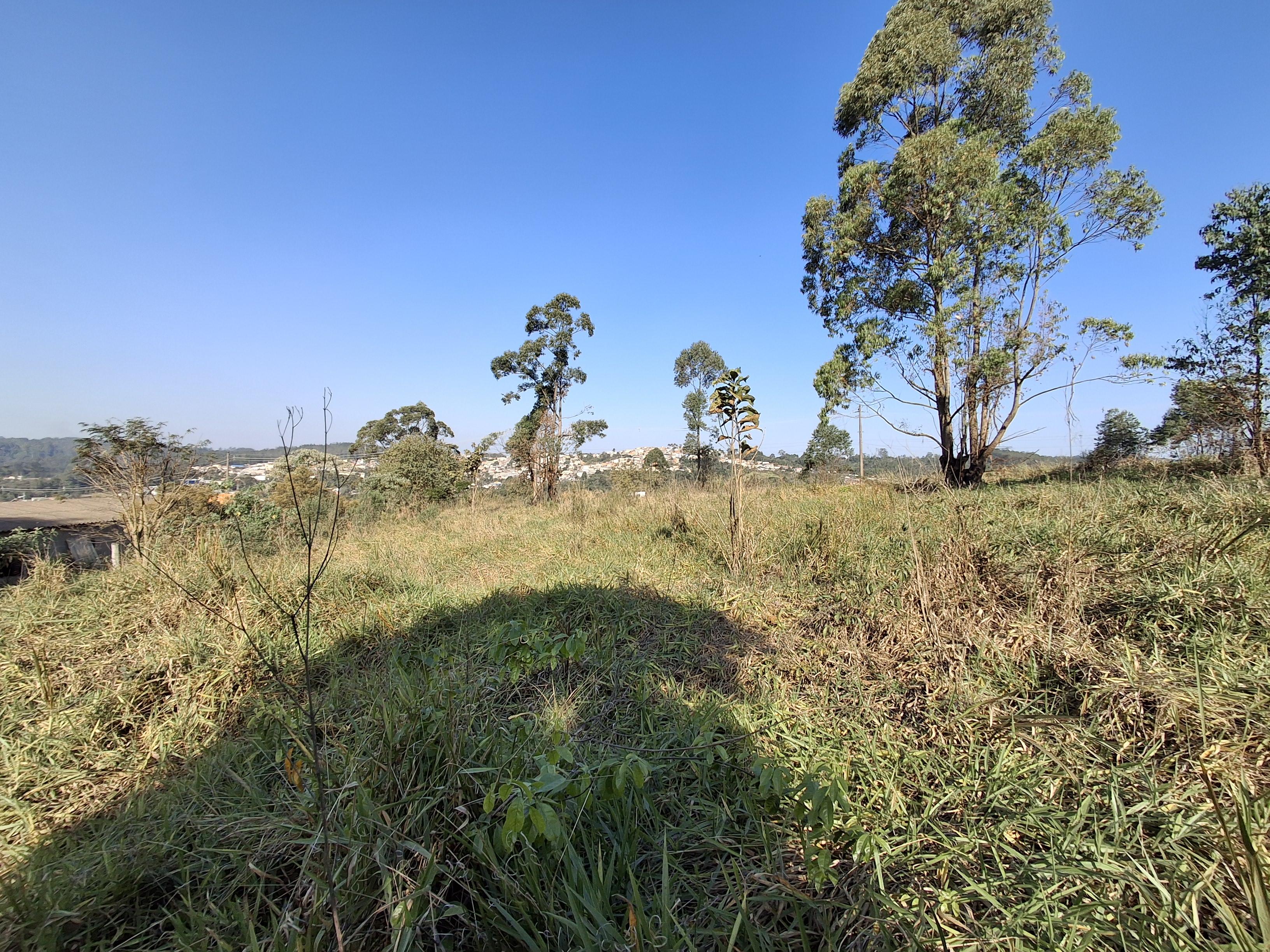 Terreno em Jardim Vitória, MAIRINQUE - Foto 5
