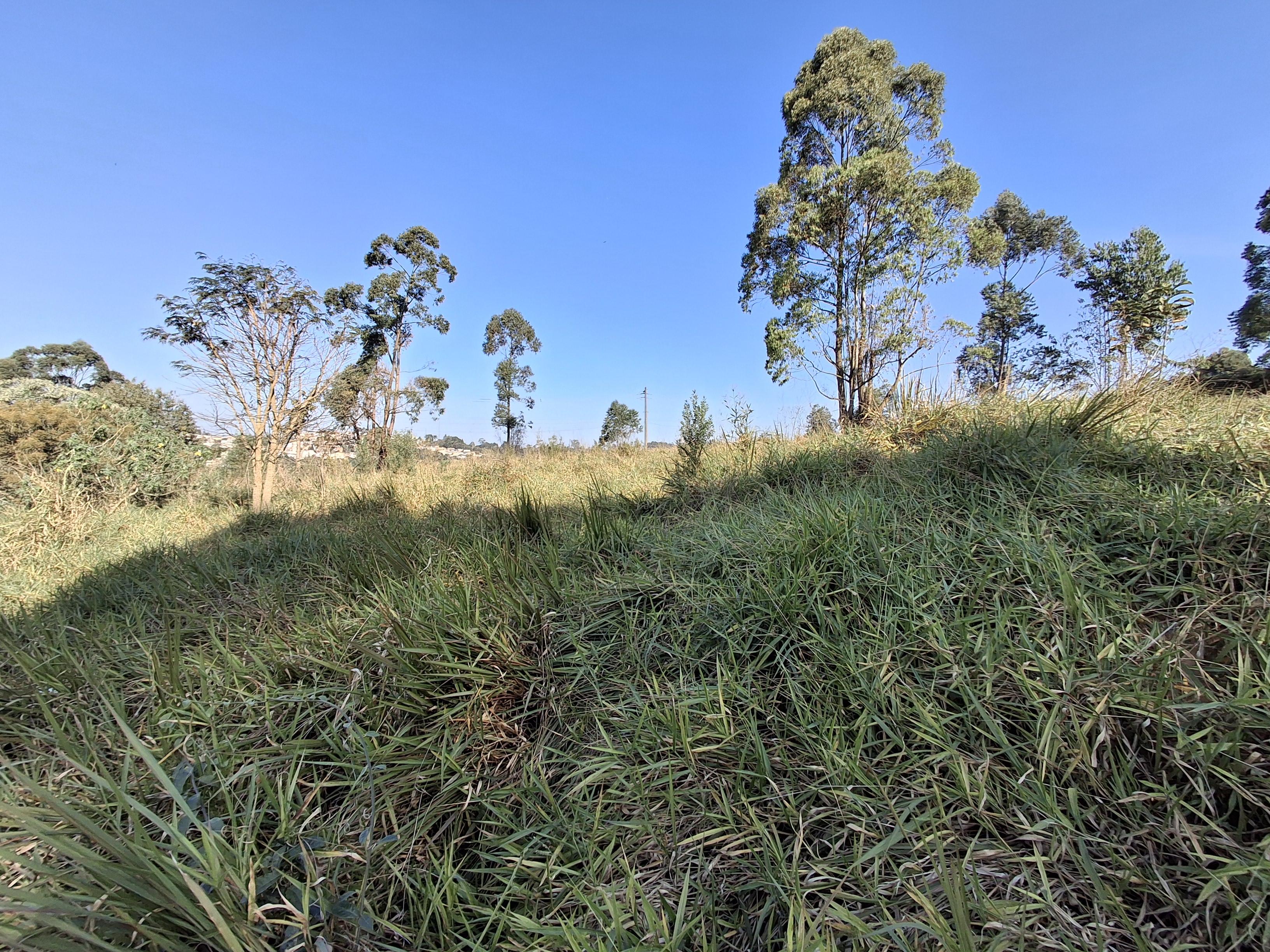 Terreno em Jardim Vitória, MAIRINQUE - Foto 7