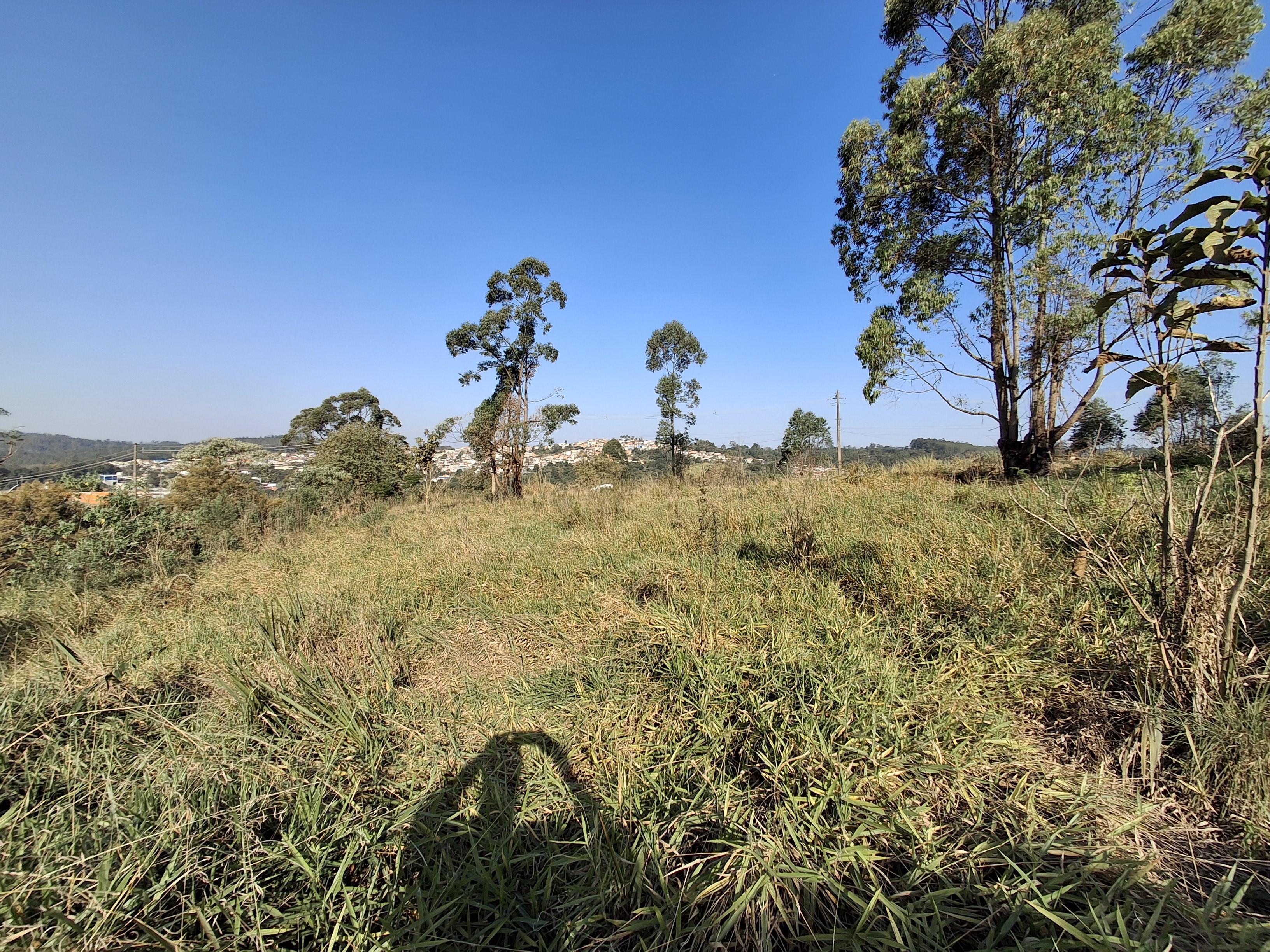 Terreno em Jardim Vitória, MAIRINQUE - Foto 9