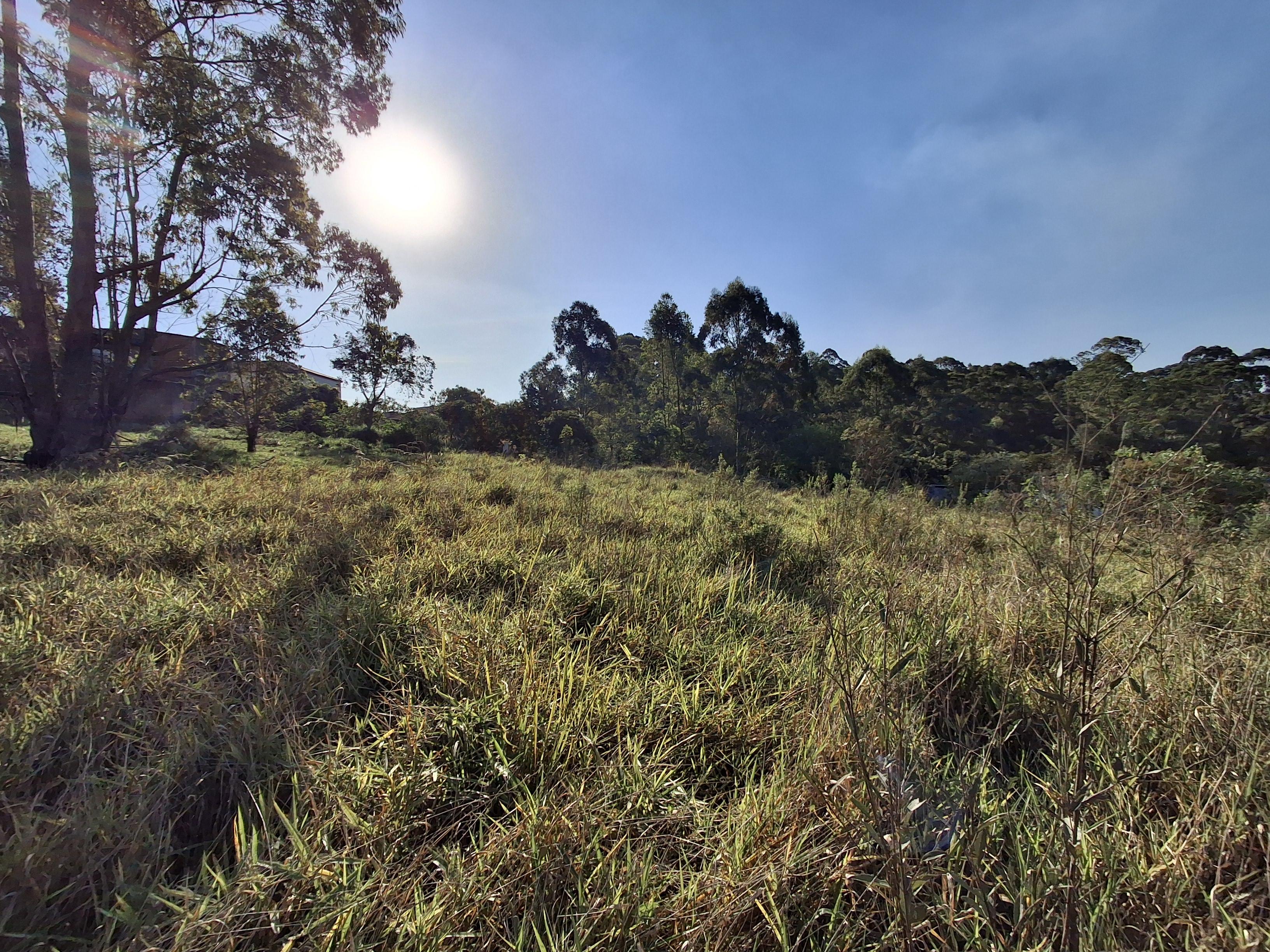 Terreno em Jardim Vitória, MAIRINQUE - Foto 11