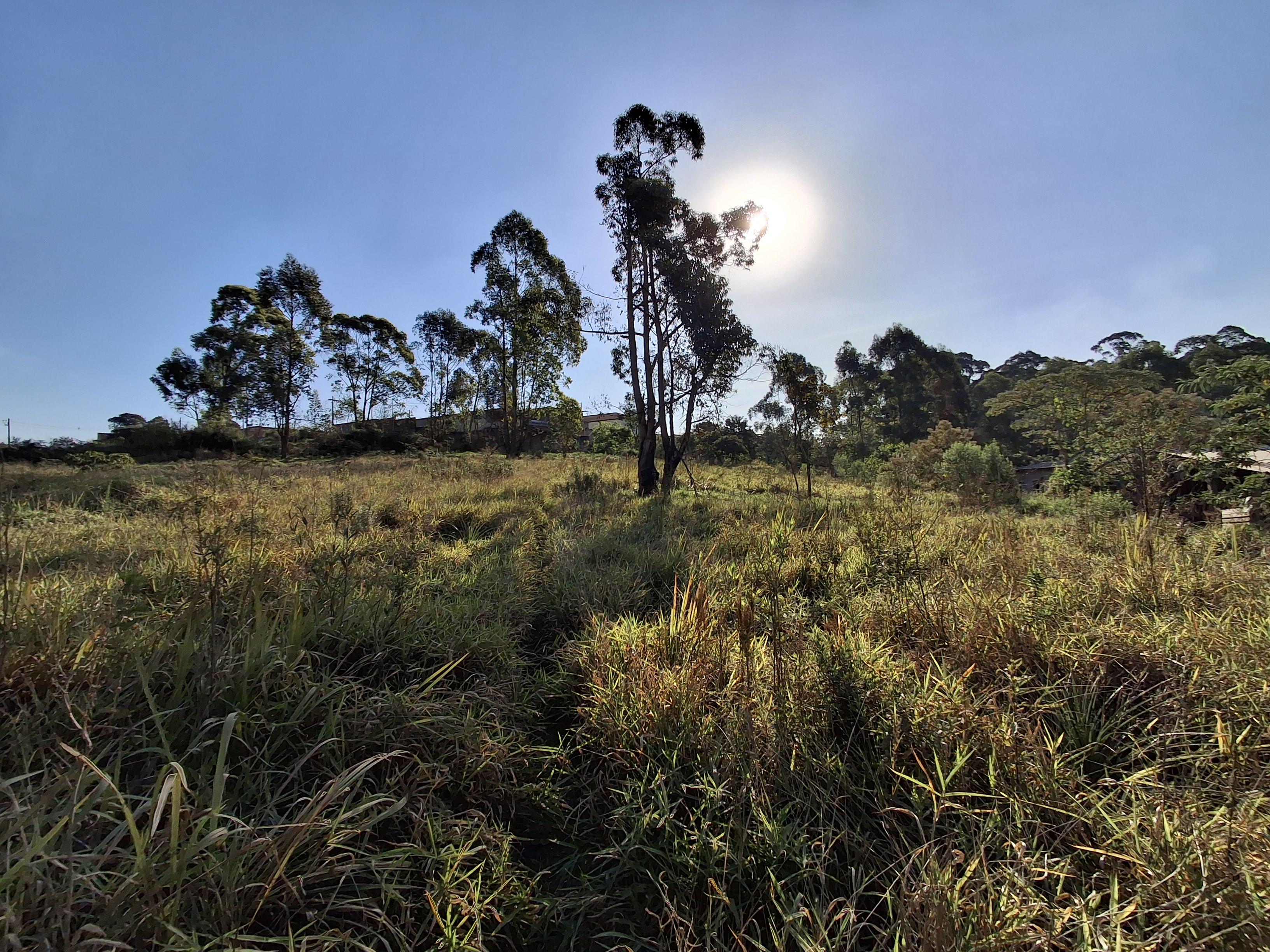 Terreno em Jardim Vitória, MAIRINQUE - Foto 13
