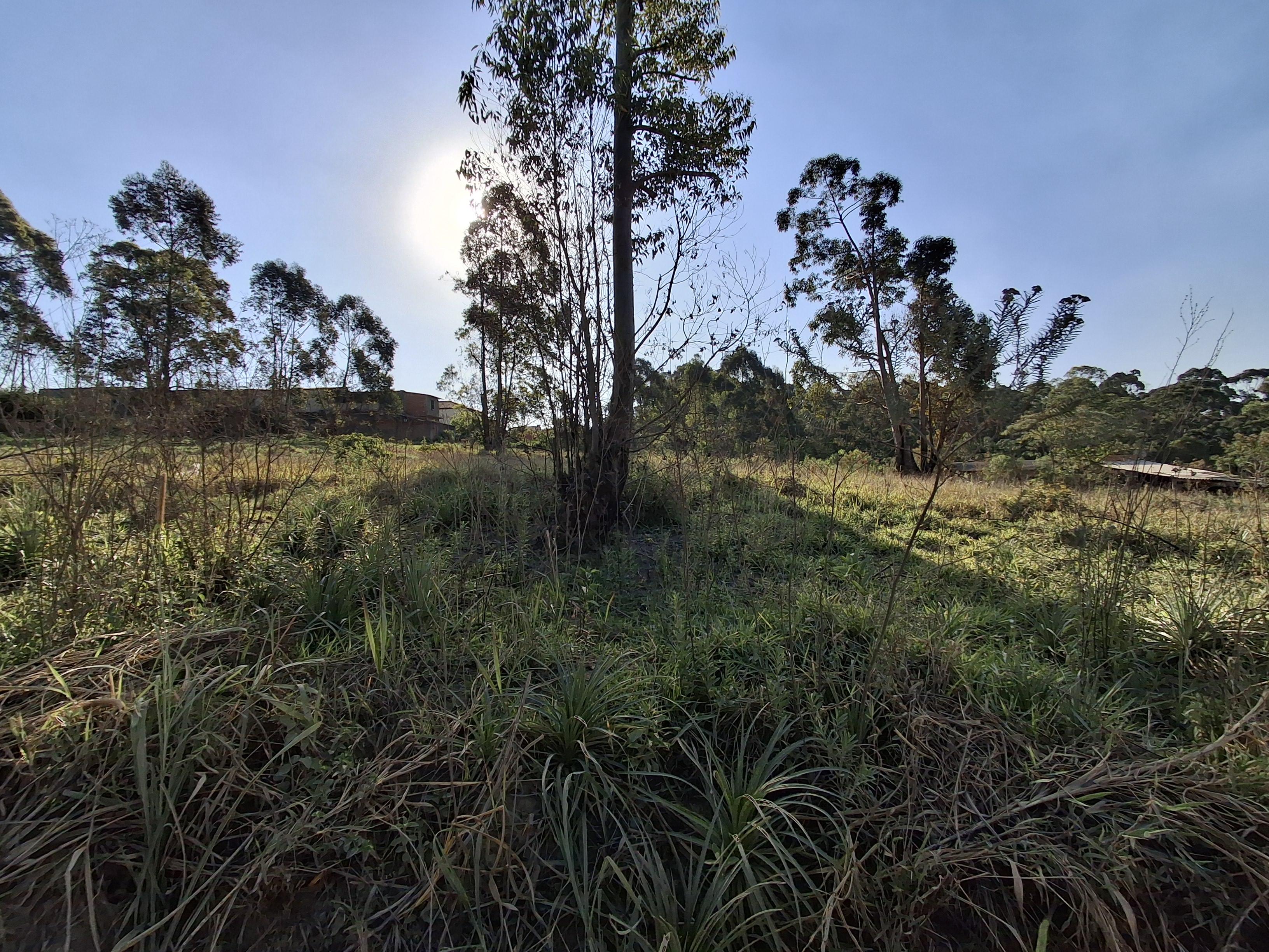 Terreno em Jardim Vitória, MAIRINQUE - Foto 14