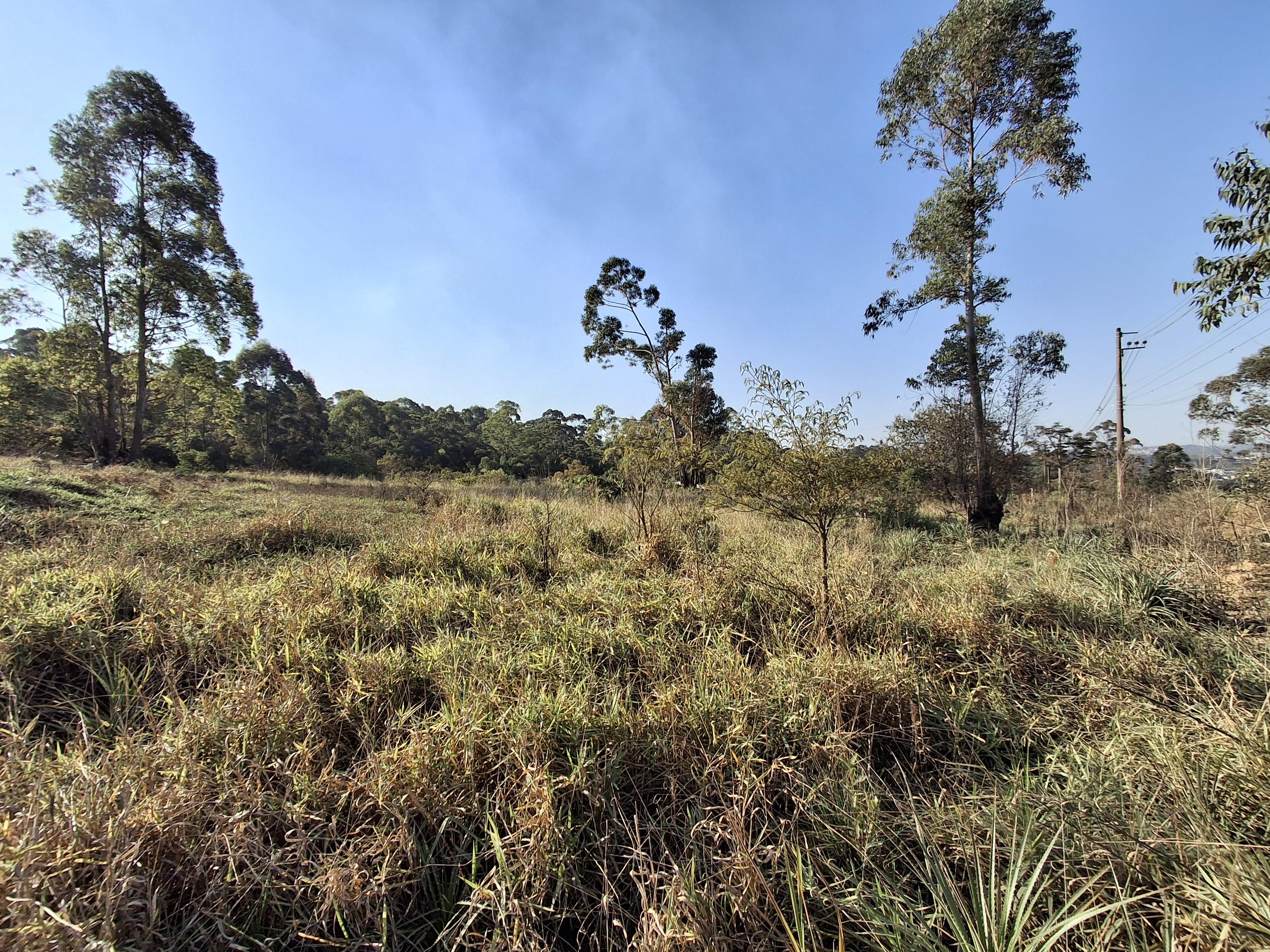 Terreno em Jardim Vitória, MAIRINQUE - Foto 16