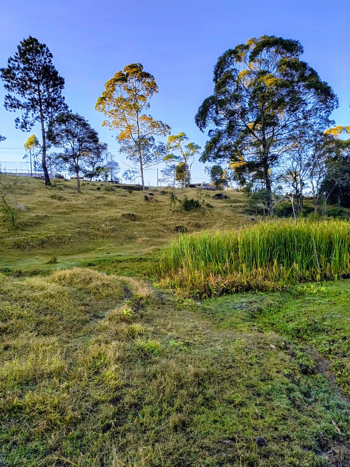 Terreno em Alpes Paulista (Mailasqui), SÃO ROQUE - Terreno em São Roque! - Foto 3