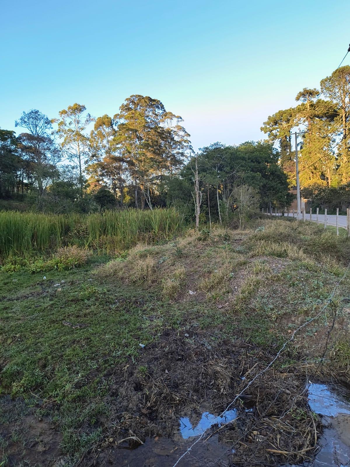 Terreno em Alpes Paulista (Mailasqui), SÃO ROQUE - Terreno em São Roque! - Foto 7