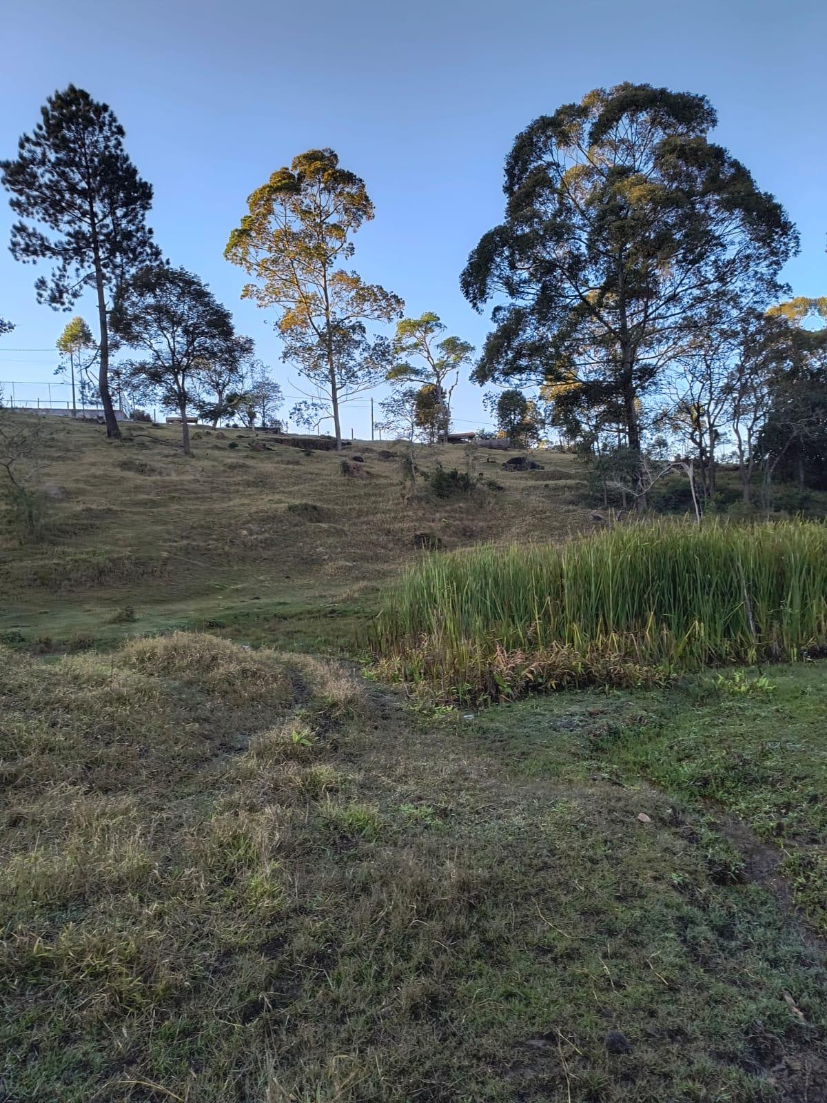 Terreno em Alpes Paulista (Mailasqui), SÃO ROQUE - Terreno em São Roque! - Foto 9