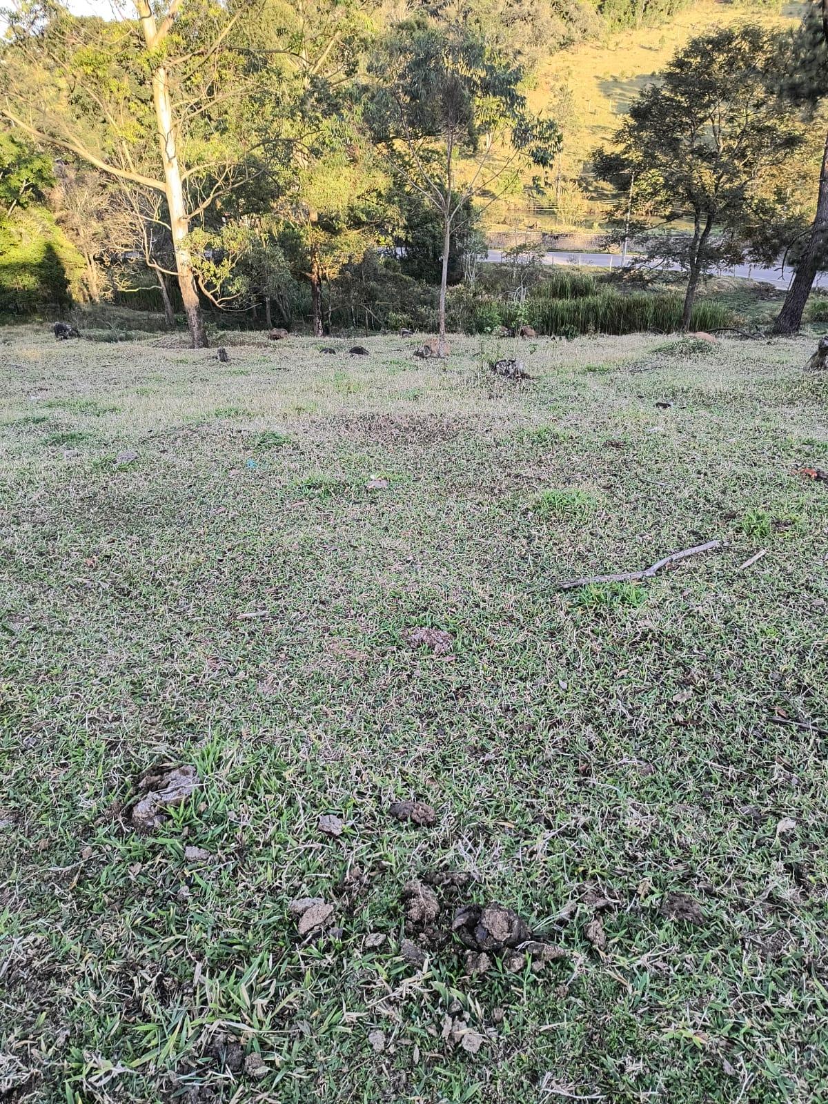 Terreno em Alpes Paulista (Mailasqui), SÃO ROQUE - Terreno em São Roque!
