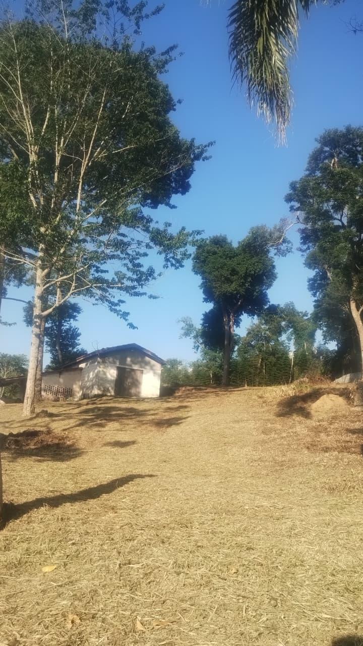Terreno em Sorocamirim (Canguera), SÃO ROQUE - Foto 7