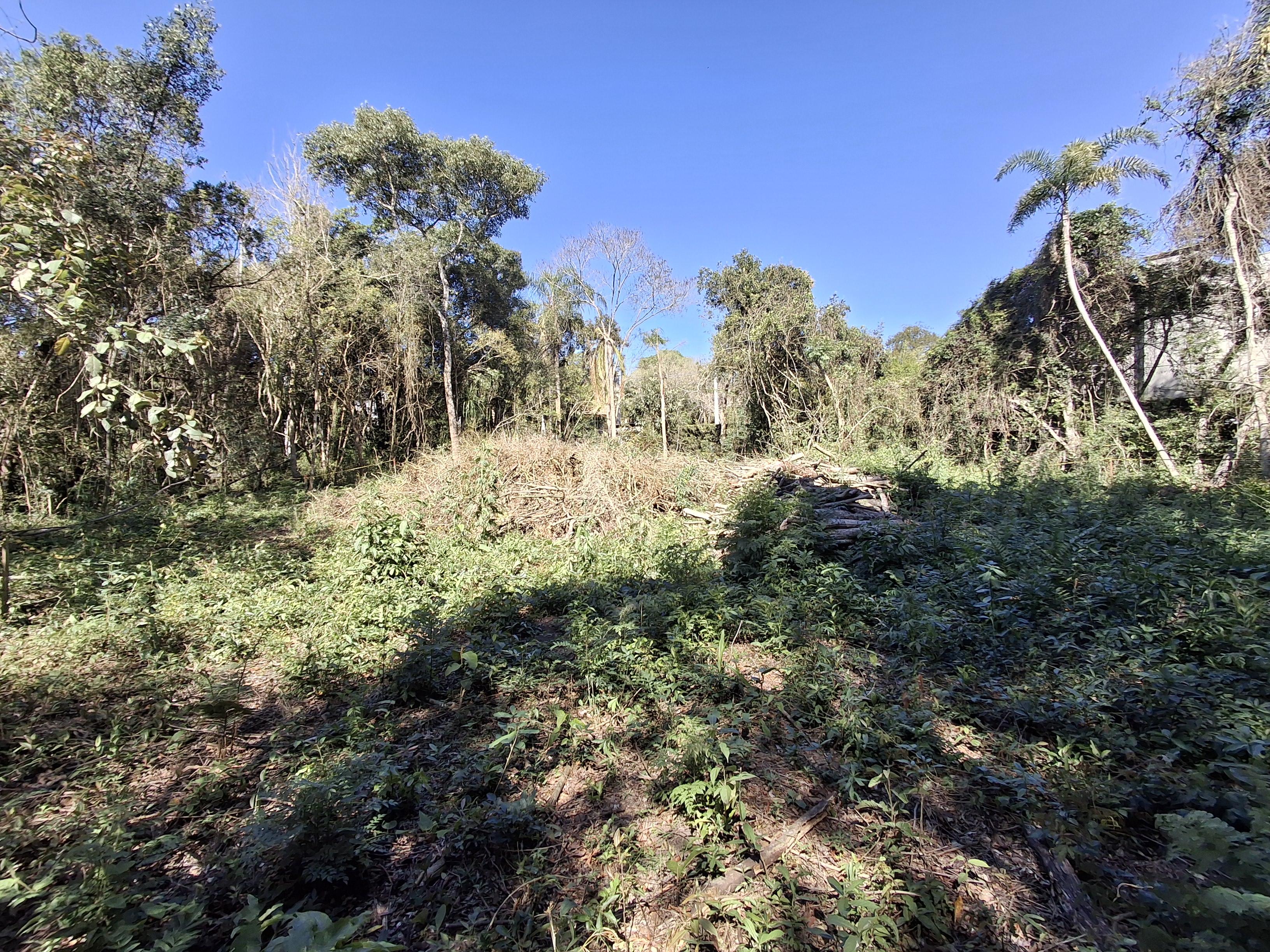 Terreno em Cond Patrimônio do Carmo (Canguera), SÃO ROQUE - Foto 19