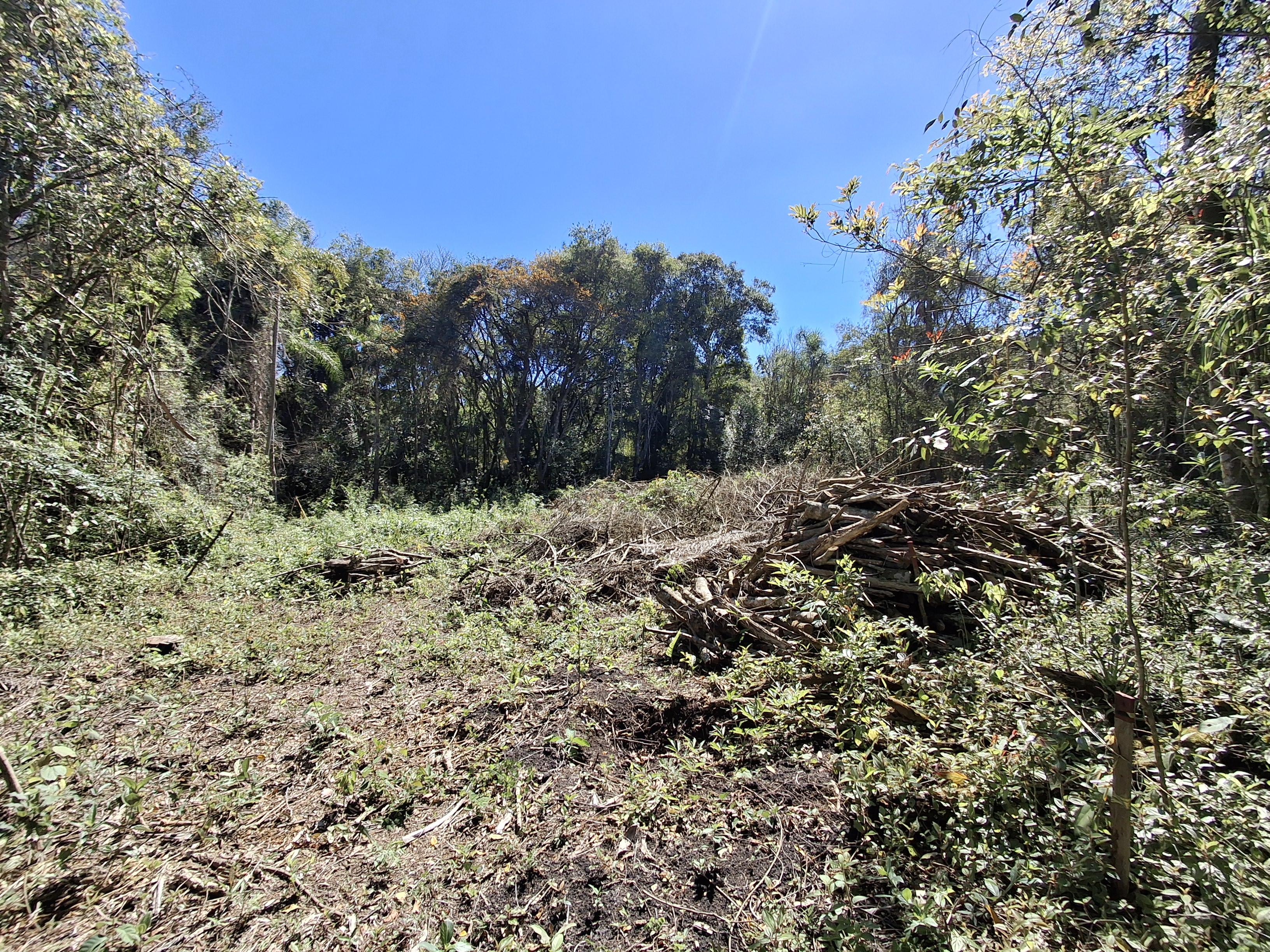 Terreno em Cond Patrimônio do Carmo (Canguera), SÃO ROQUE - Foto 21