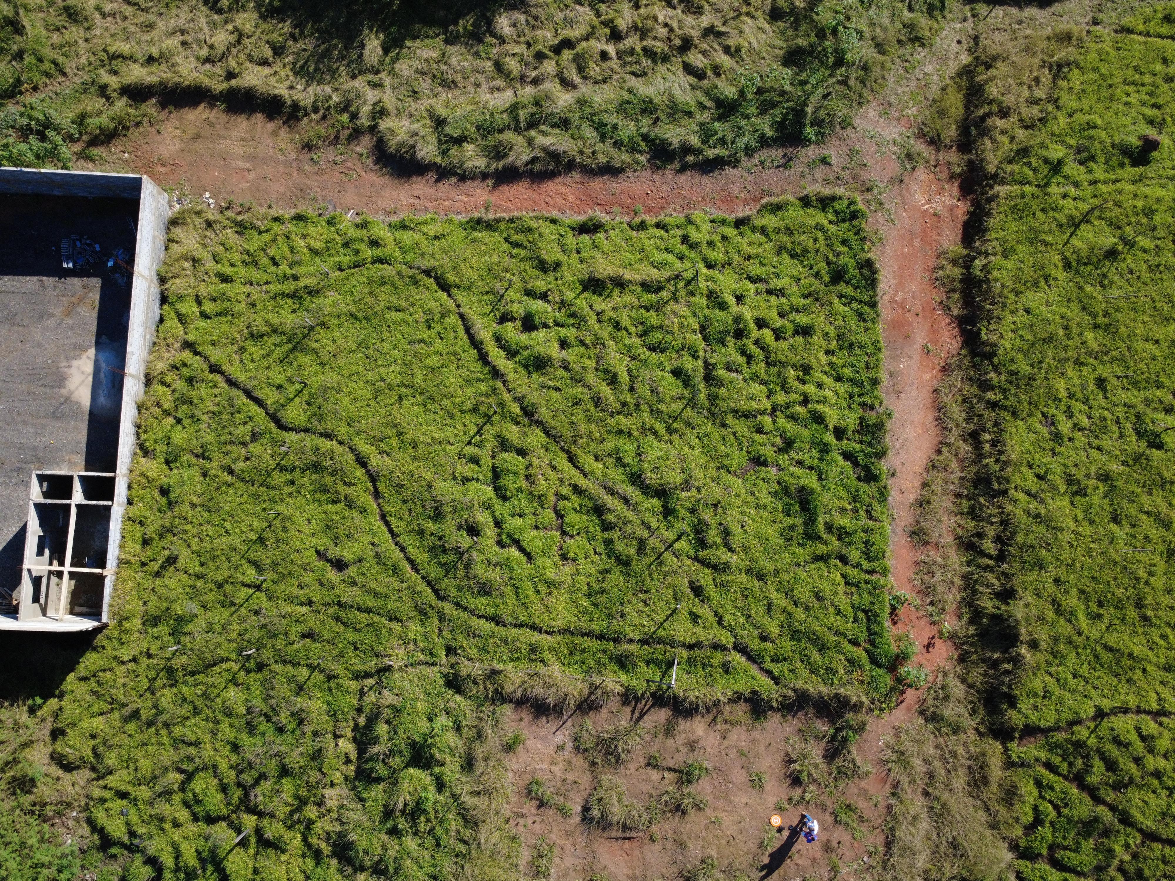 Terreno em Chácaras Jardim Brasília, MAIRINQUE - Foto 3