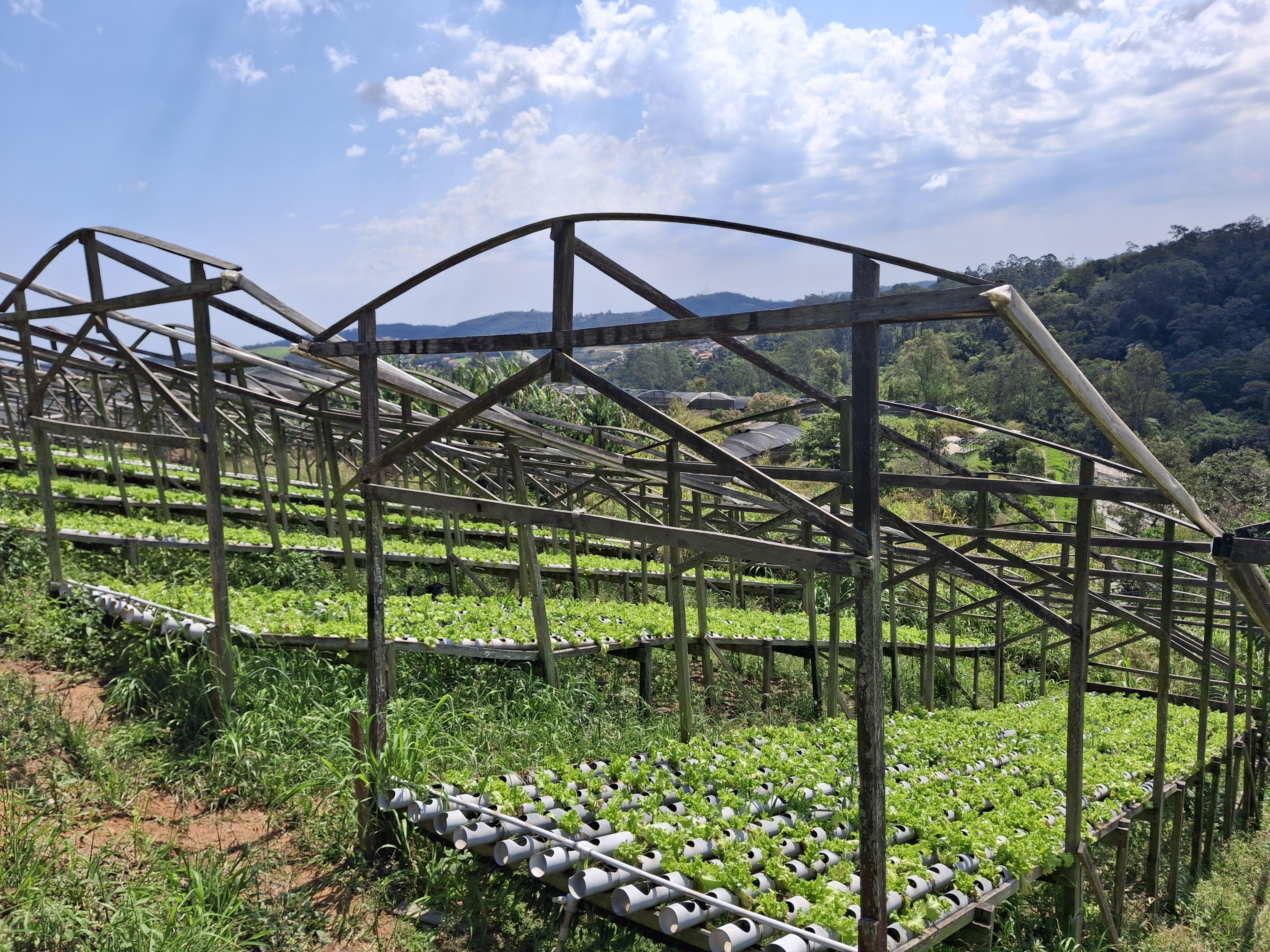 Sítio em Jardim Cardoso (Mailasqui), SÃO ROQUE - Sitio que combina natureza, hospedagem, lazer, eventos e múltiplas possibilidades de uso em São Roque! - Foto 113