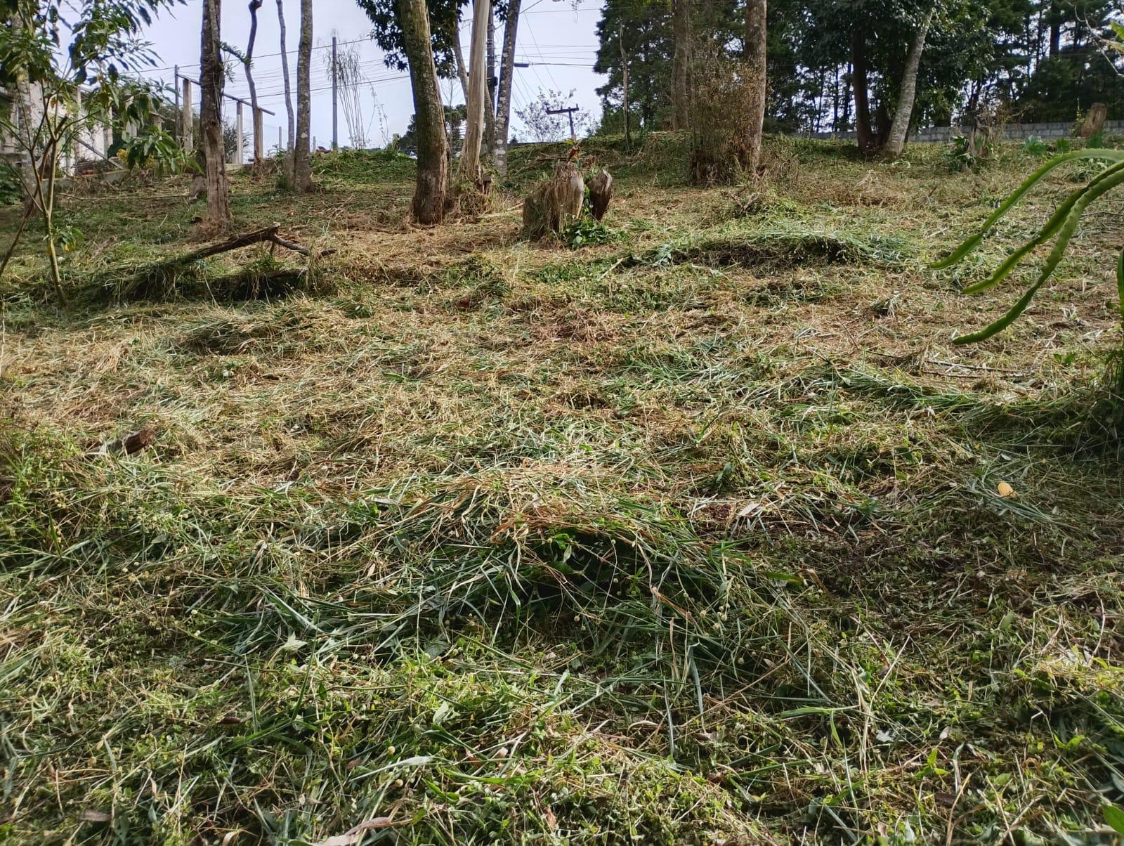 Terreno em Alpes Paulista (Mailasqui), SÃO ROQUE - Terreno de 1830 m² próximo da estrada da aeronáutica em São Roque! - Foto 3