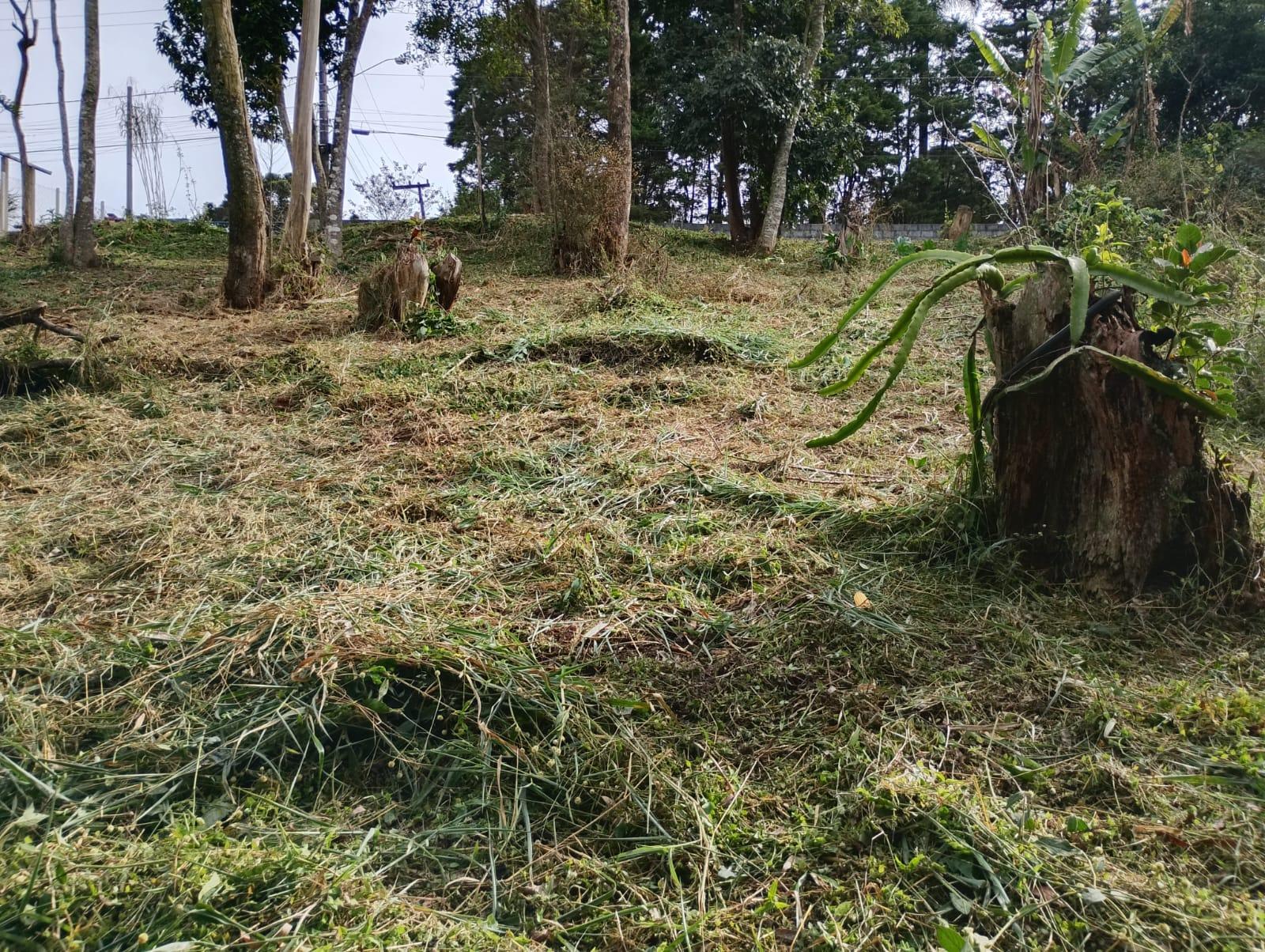 Terreno em Alpes Paulista (Mailasqui), SÃO ROQUE - Terreno de 1830 m² próximo da estrada da aeronáutica em São Roque! - Foto 4