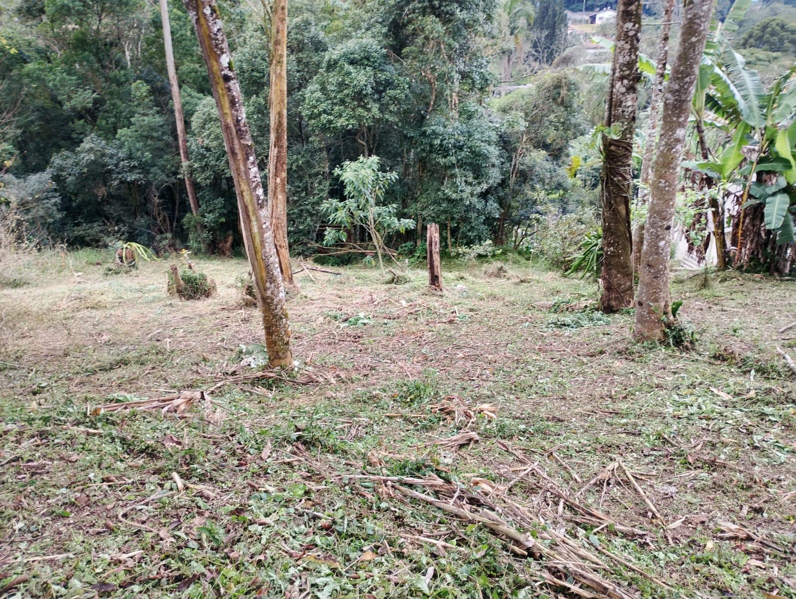 Terreno em Alpes Paulista (Mailasqui), SÃO ROQUE - Terreno de 1830 m² próximo da estrada da aeronáutica em São Roque! - Foto 8