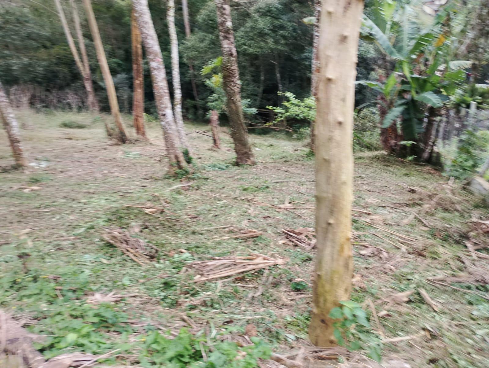 Terreno em Alpes Paulista (Mailasqui), SÃO ROQUE - Terreno de 1830 m² próximo da estrada da aeronáutica em São Roque! - Foto 10