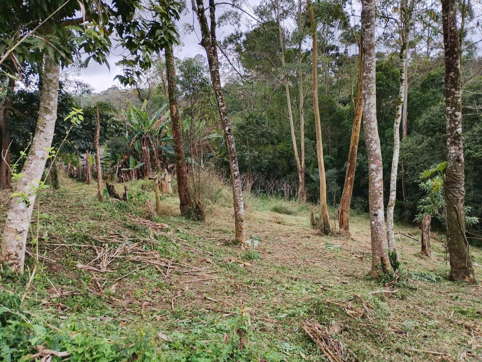Terreno em Alpes Paulista (Mailasqui), SÃO ROQUE - Terreno de 1830 m² próximo da estrada da aeronáutica em São Roque! - Foto 14