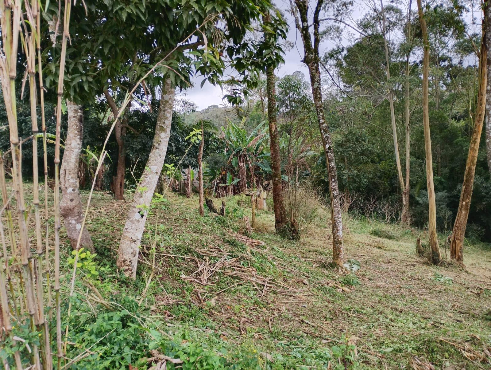 Terreno em Alpes Paulista (Mailasqui), SÃO ROQUE - Terreno de 1830 m² próximo da estrada da aeronáutica em São Roque! - Foto 16