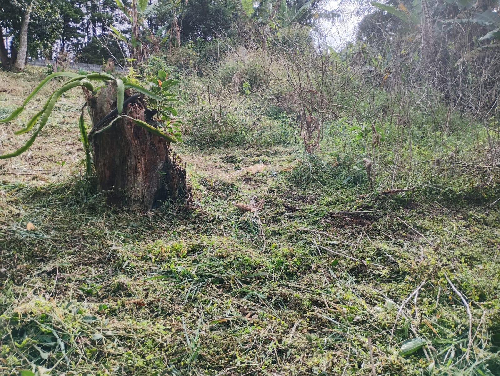 Terreno em Alpes Paulista (Mailasqui), SÃO ROQUE - Terreno de 3390 m² próximo da estrada da aeronáutica em São Roque! - Foto 3
