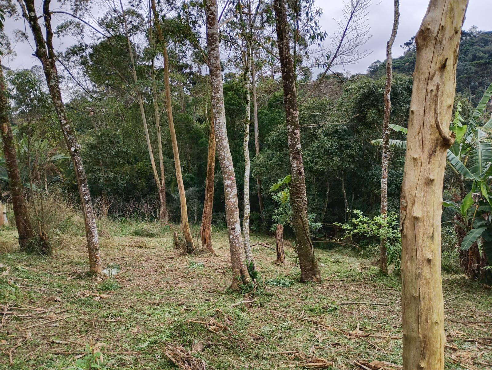 Terreno em Alpes Paulista (Mailasqui), SÃO ROQUE - Terreno de 3390 m² próximo da estrada da aeronáutica em São Roque! - Foto 30