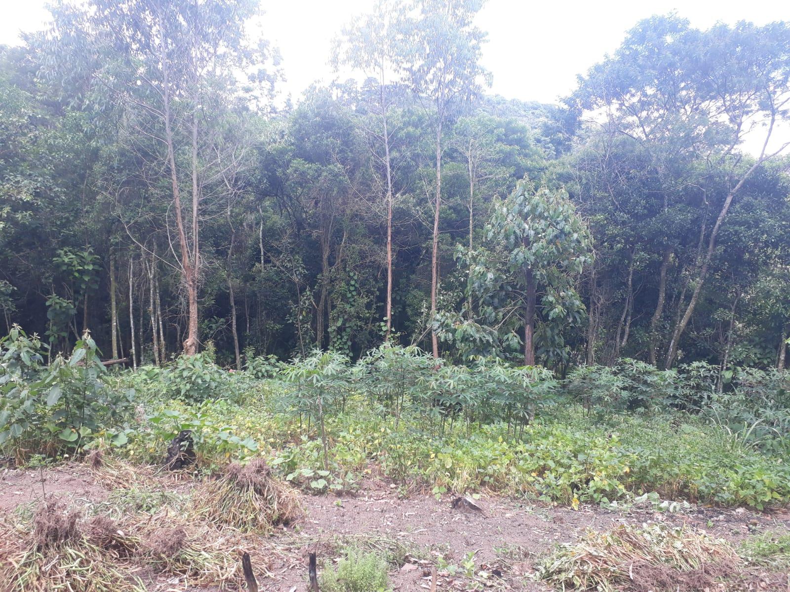 Terreno em Alpes Paulista (Mailasqui), SÃO ROQUE - Terreno de 3390 m² próximo da estrada da aeronáutica em São Roque! - Foto 40