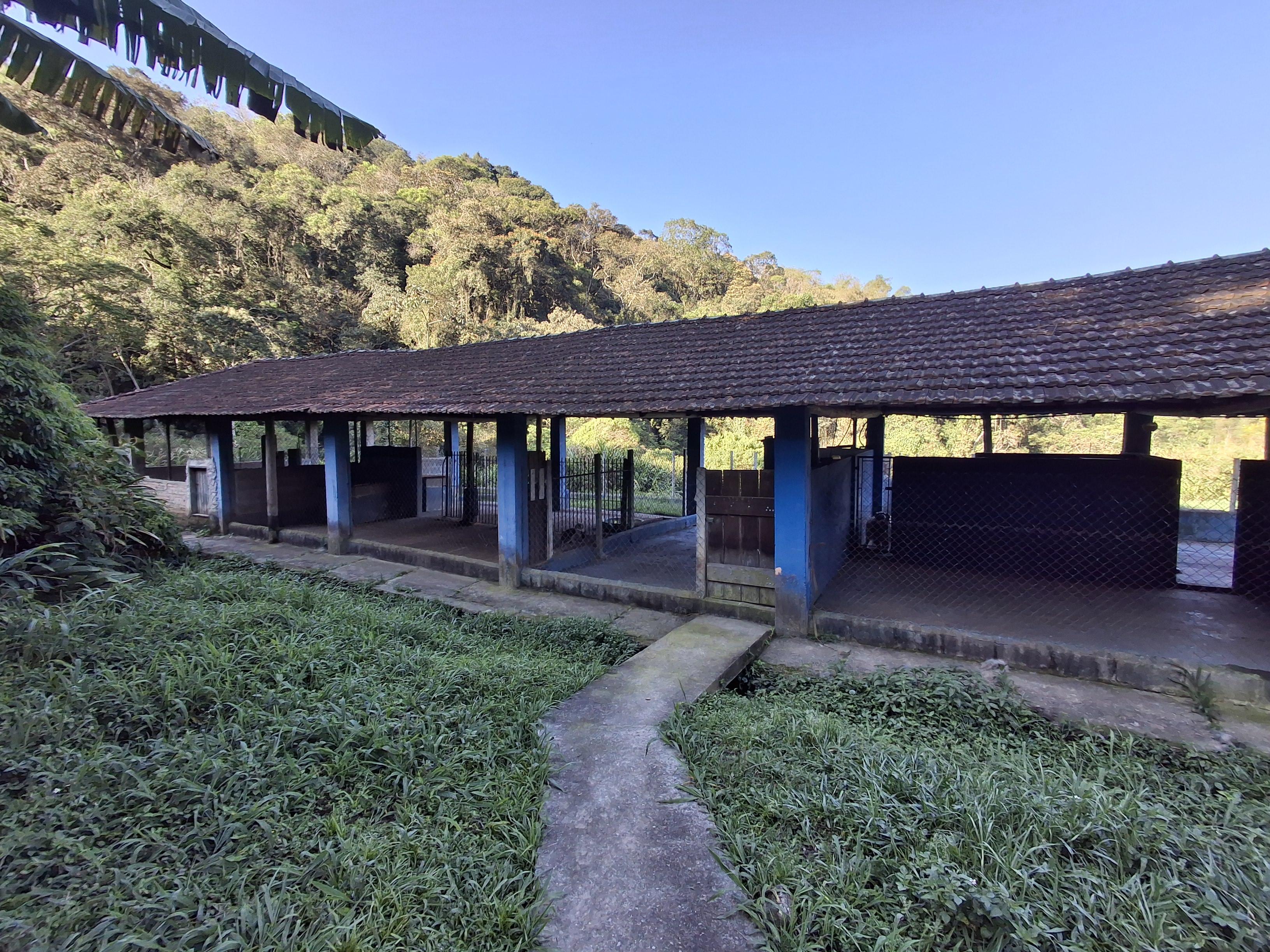Sítio em Bairro do Rosário (Mailasqui), SÃO ROQUE - Foto 77