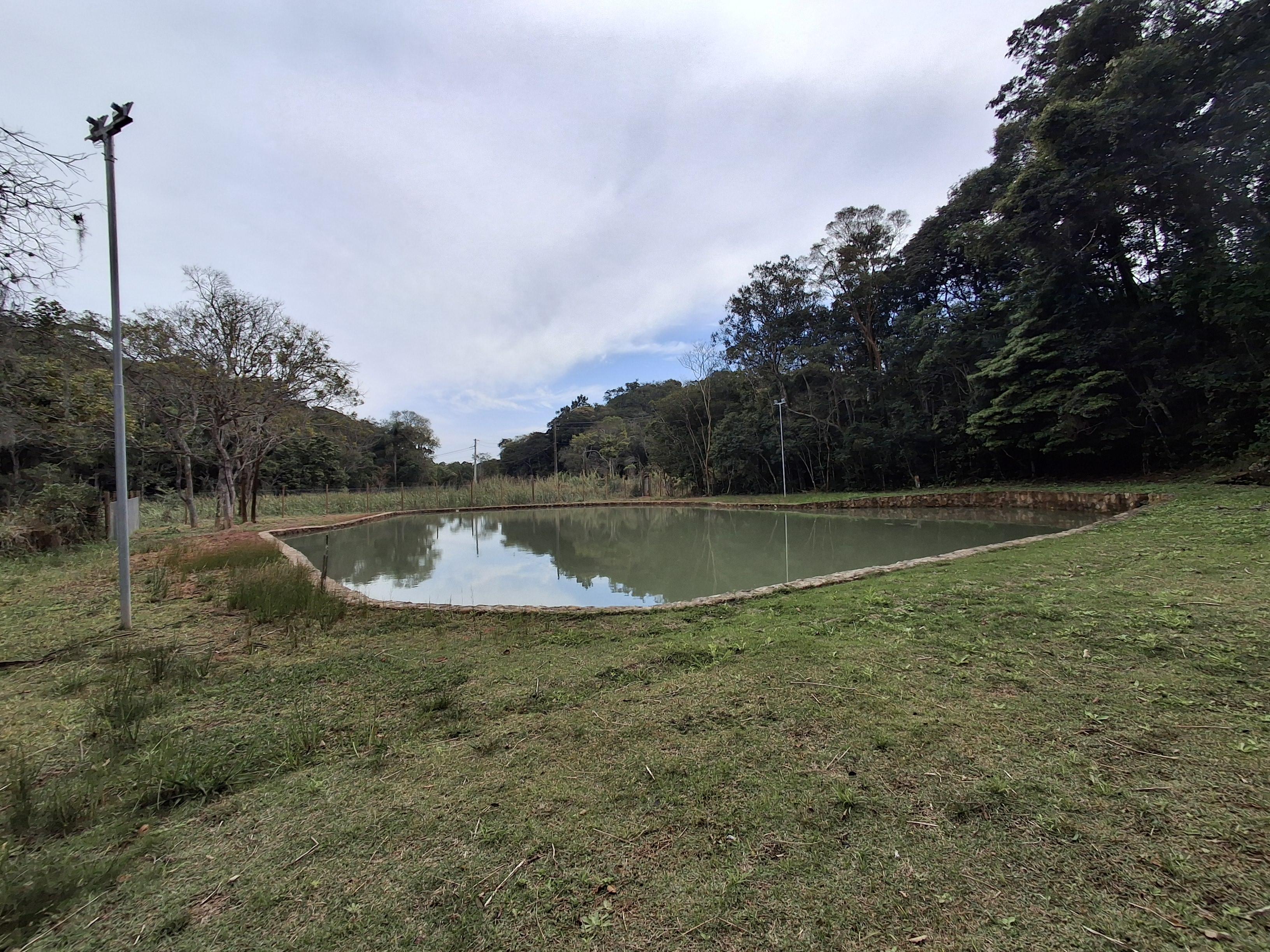 Sítio em Mailasqui, SÃO ROQUE - Haras estruturado com 6 cocheiras e 5 Baias americanas em São Roque! - Foto 221